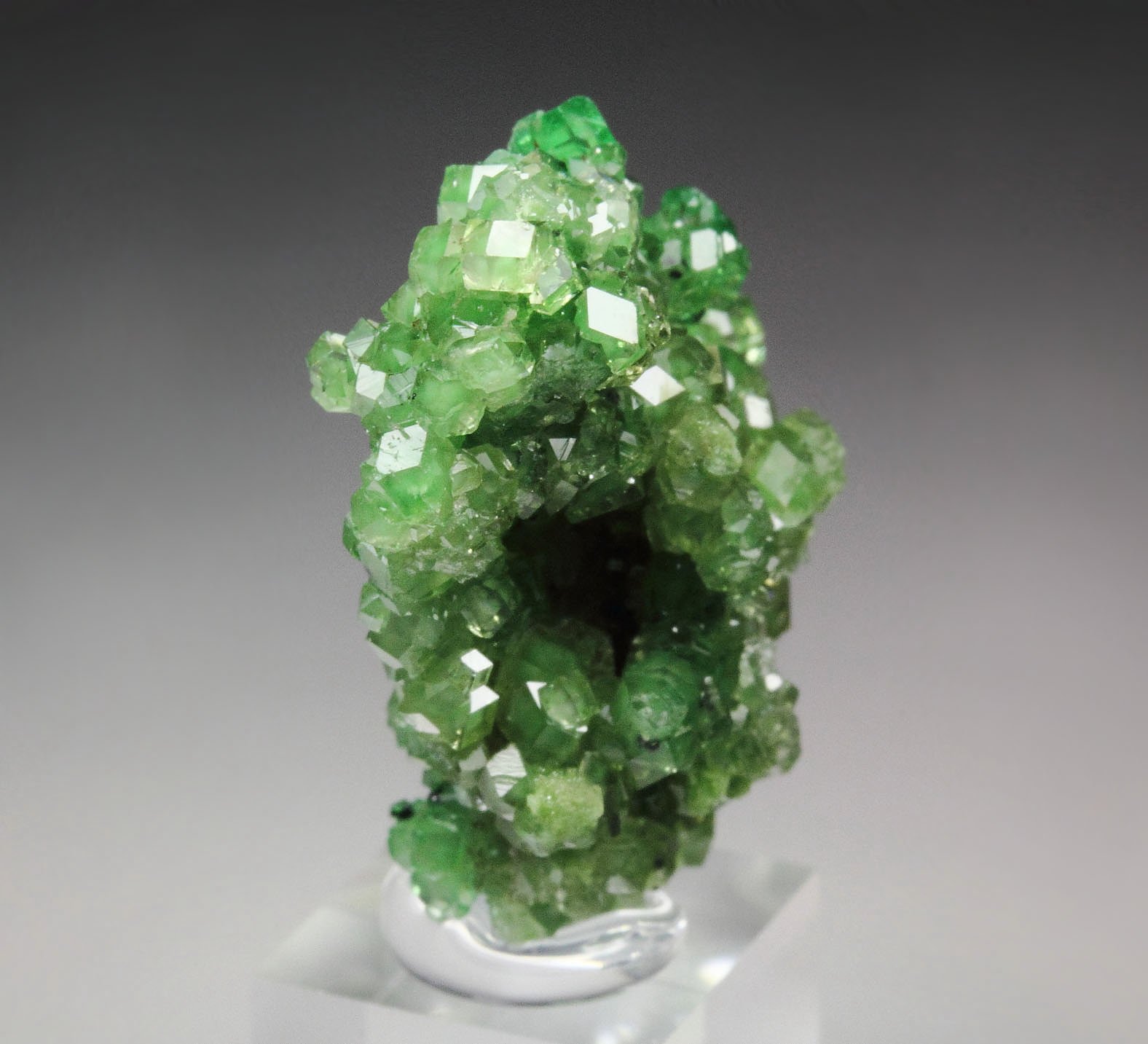 gem GARNET var. GROSSULAR with GREEN CHROMIAN PHANTOMS, CHROMITE