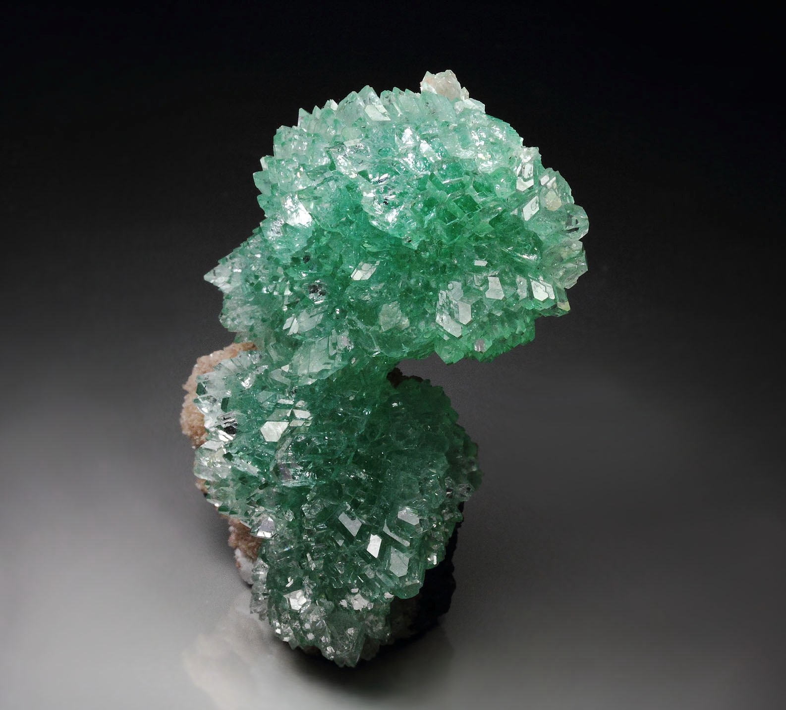 gem FLUORAPOPHYLLITE-(K)