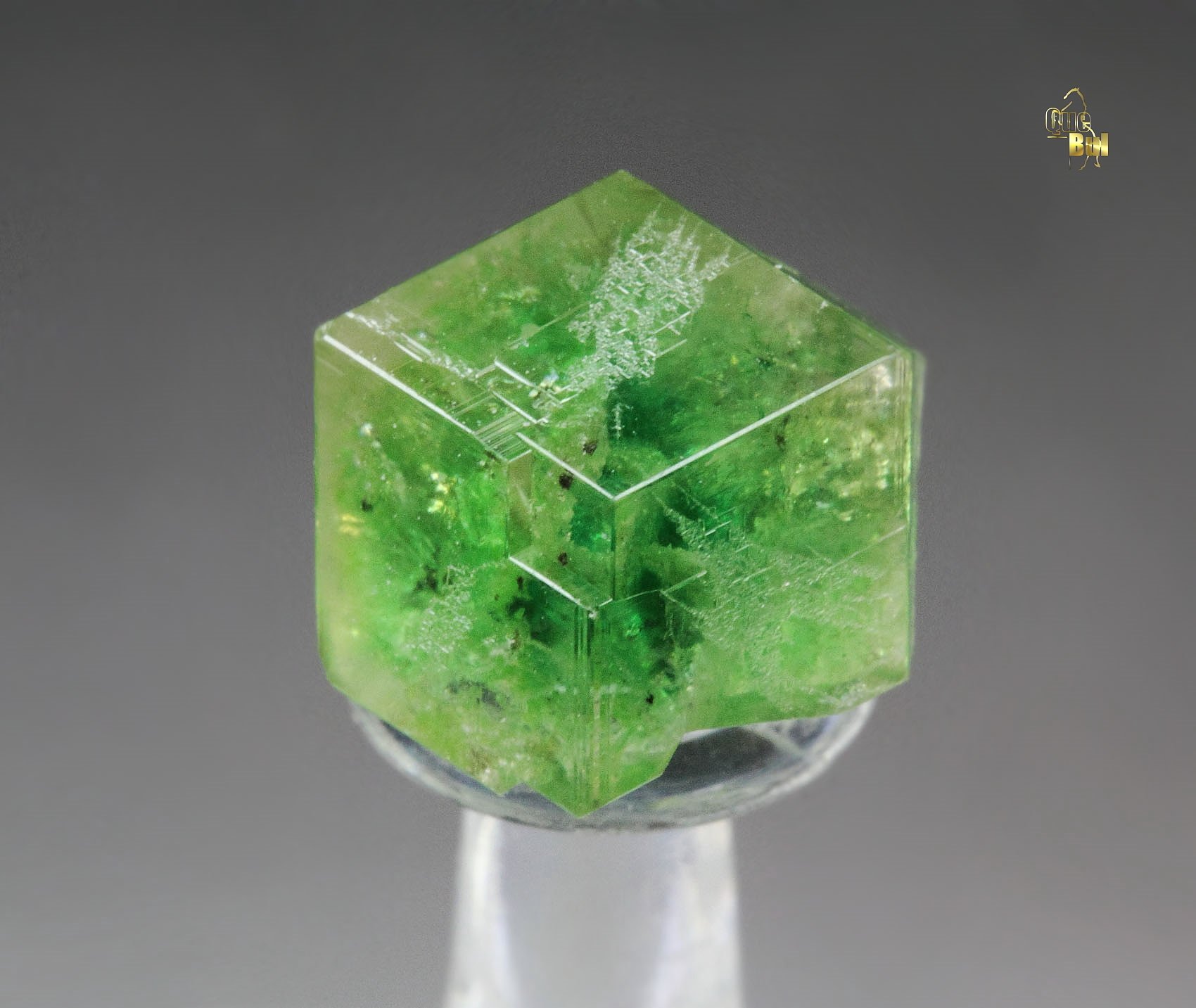 gem GARNET var. GROSSULAR with GREEN CHROMIAN PHANTOM