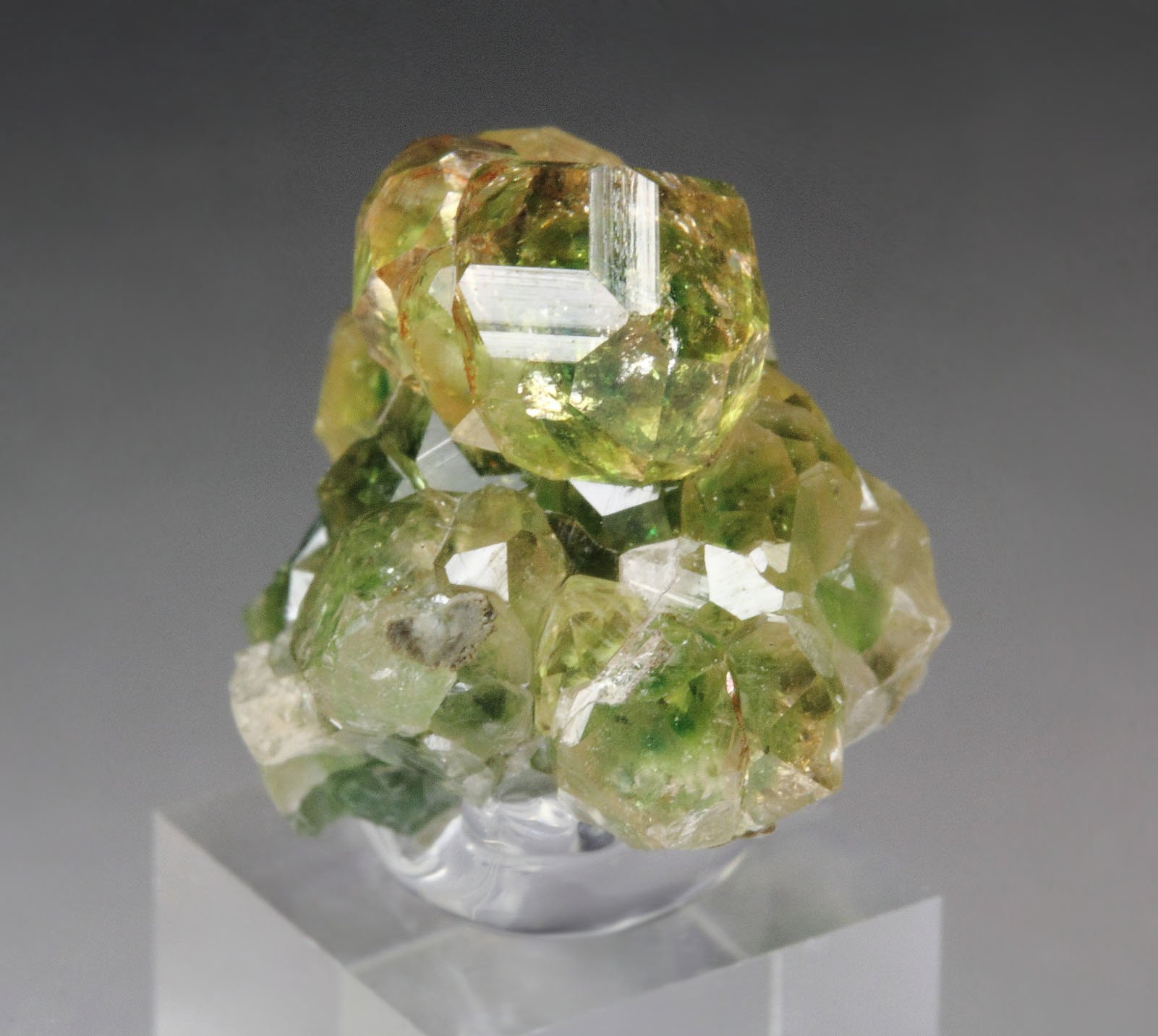 gem GARNET var. GROSSULAR with GREEN CHROMIAN PHANTOMS