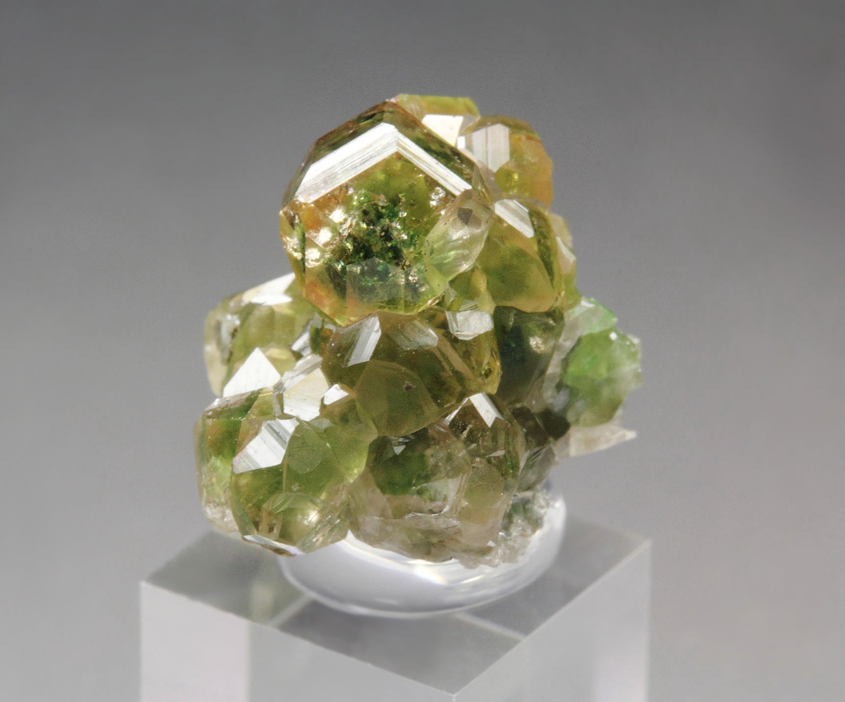 gem GARNET var. GROSSULAR with GREEN CHROMIAN PHANTOMS