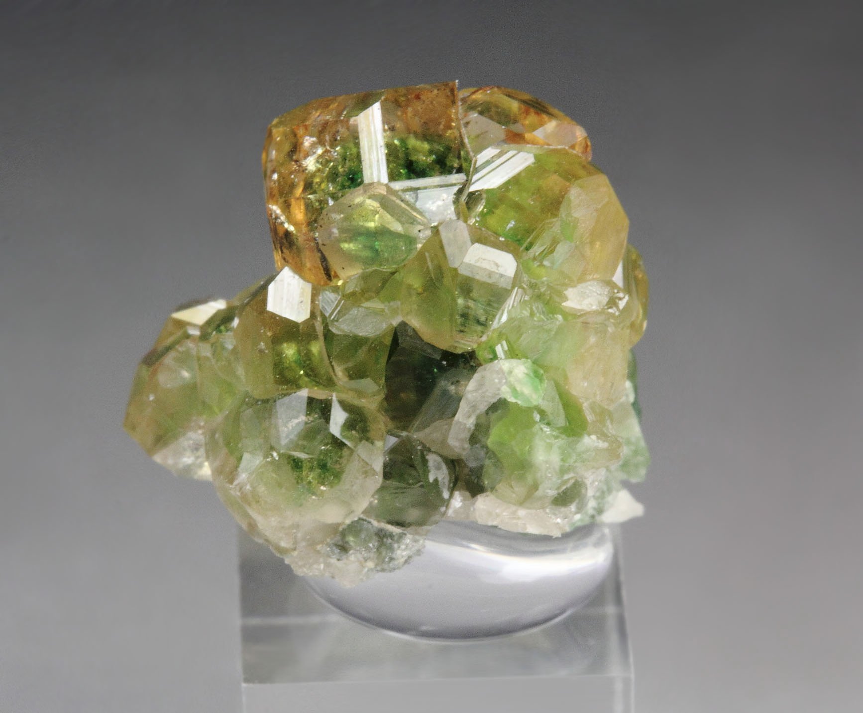 gem GARNET var. GROSSULAR with GREEN CHROMIAN PHANTOMS