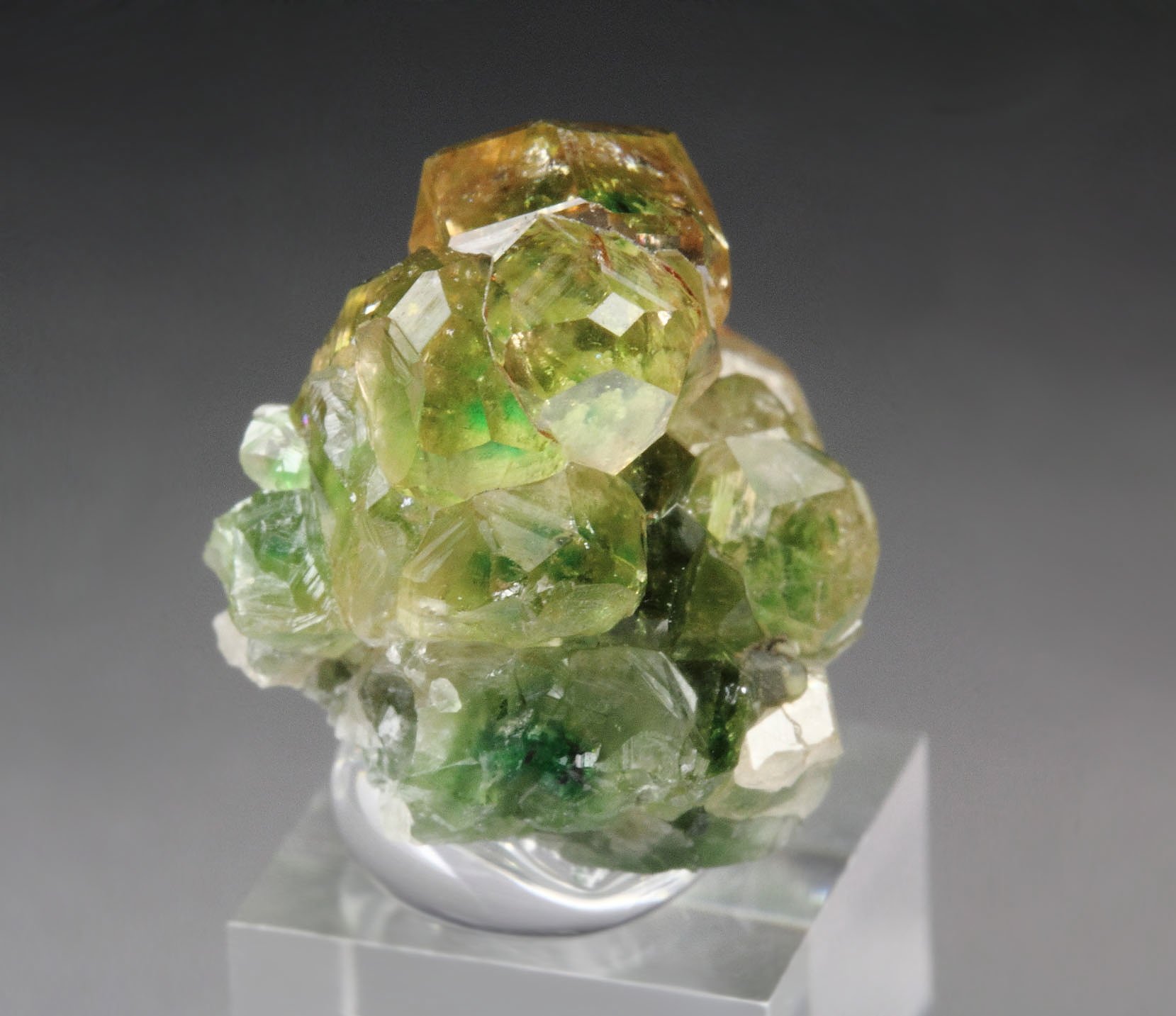 gem GARNET var. GROSSULAR with GREEN CHROMIAN PHANTOMS