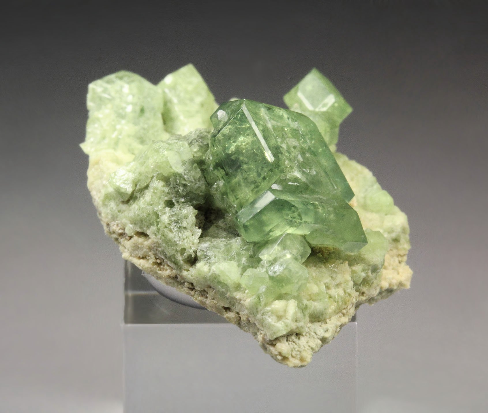 gem GARNET var. ANDRADITE var. DEMANTOID