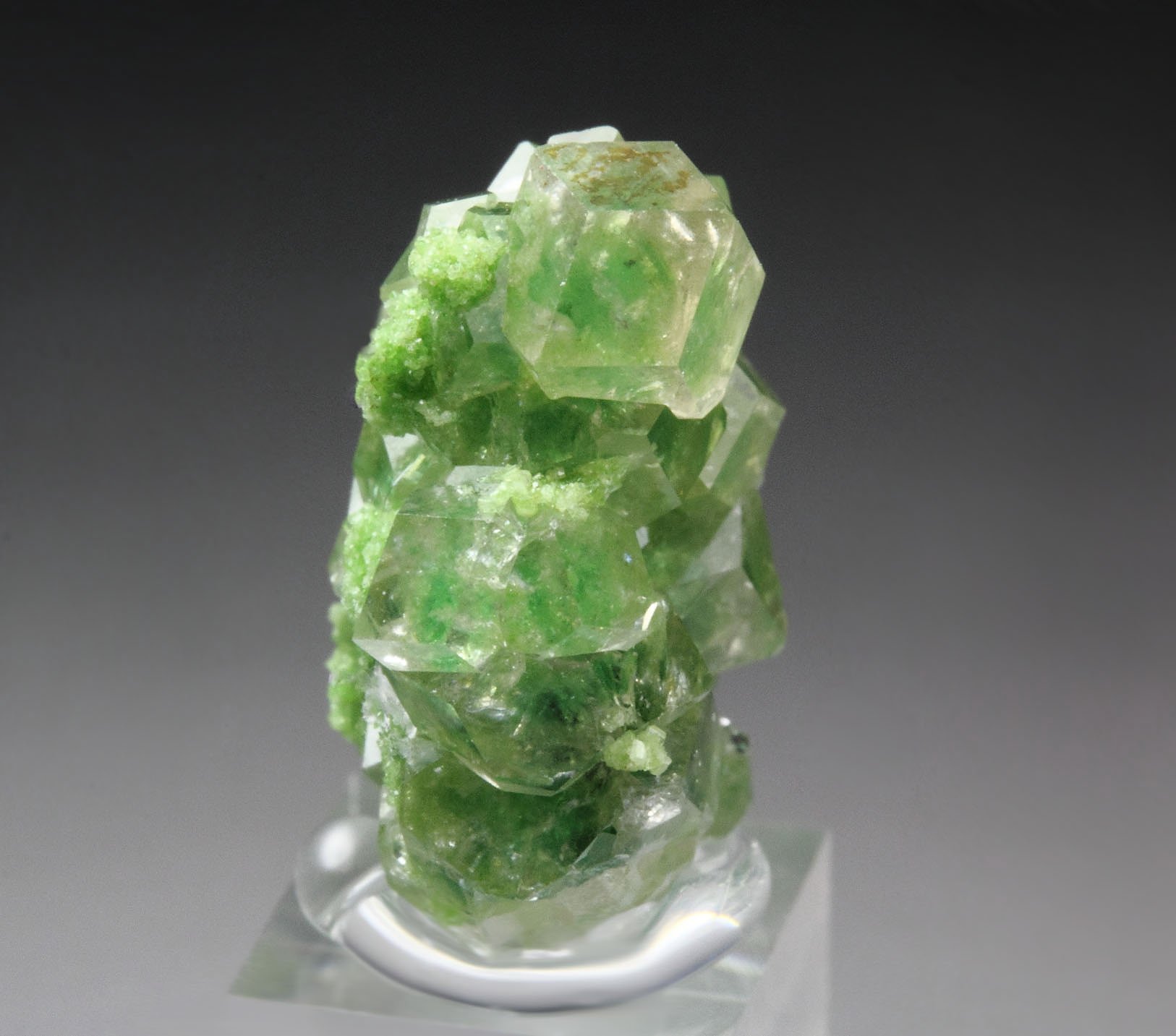 gem GARNET var. GROSSULAR with GREEN CHROMIAN PHANTOMS, DIOPSIDE