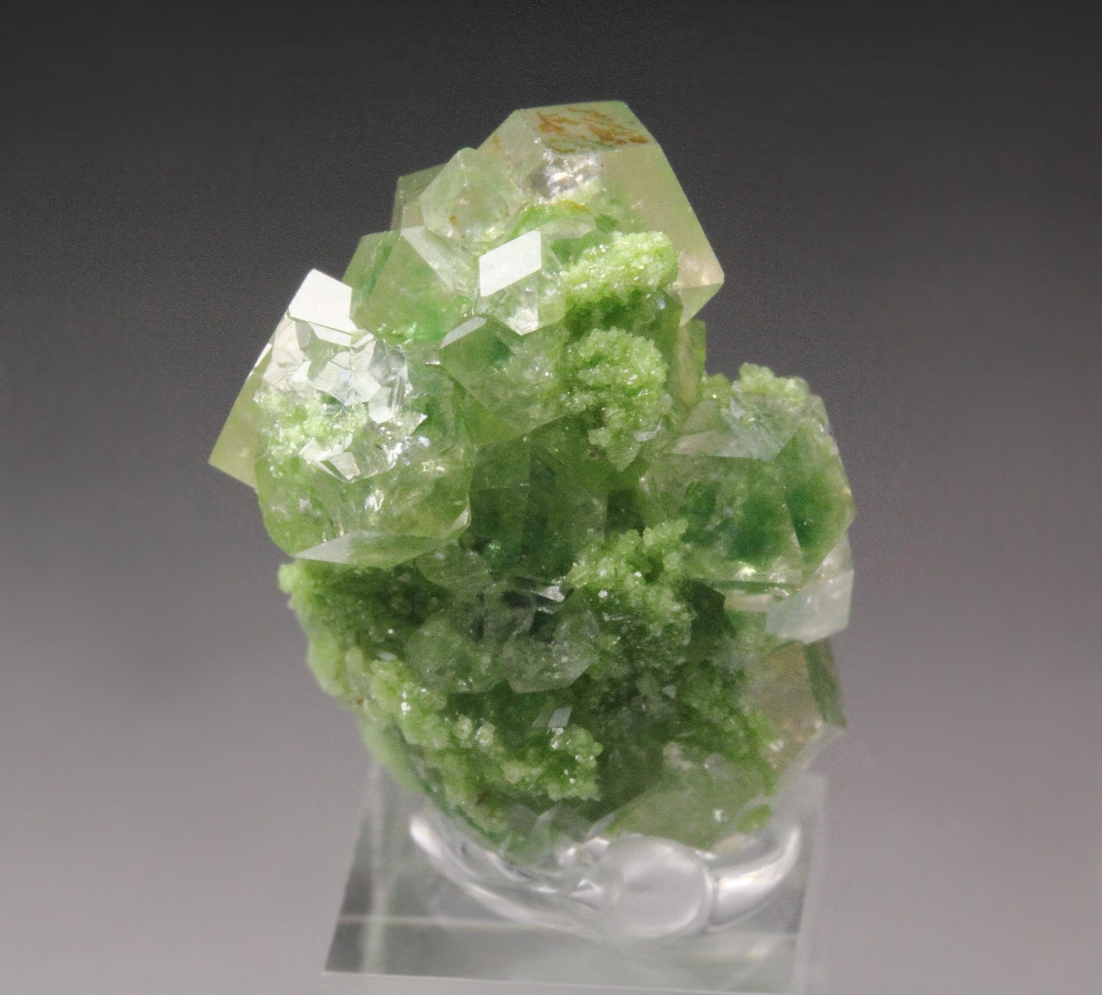 gem GARNET var. GROSSULAR with GREEN CHROMIAN PHANTOMS, DIOPSIDE