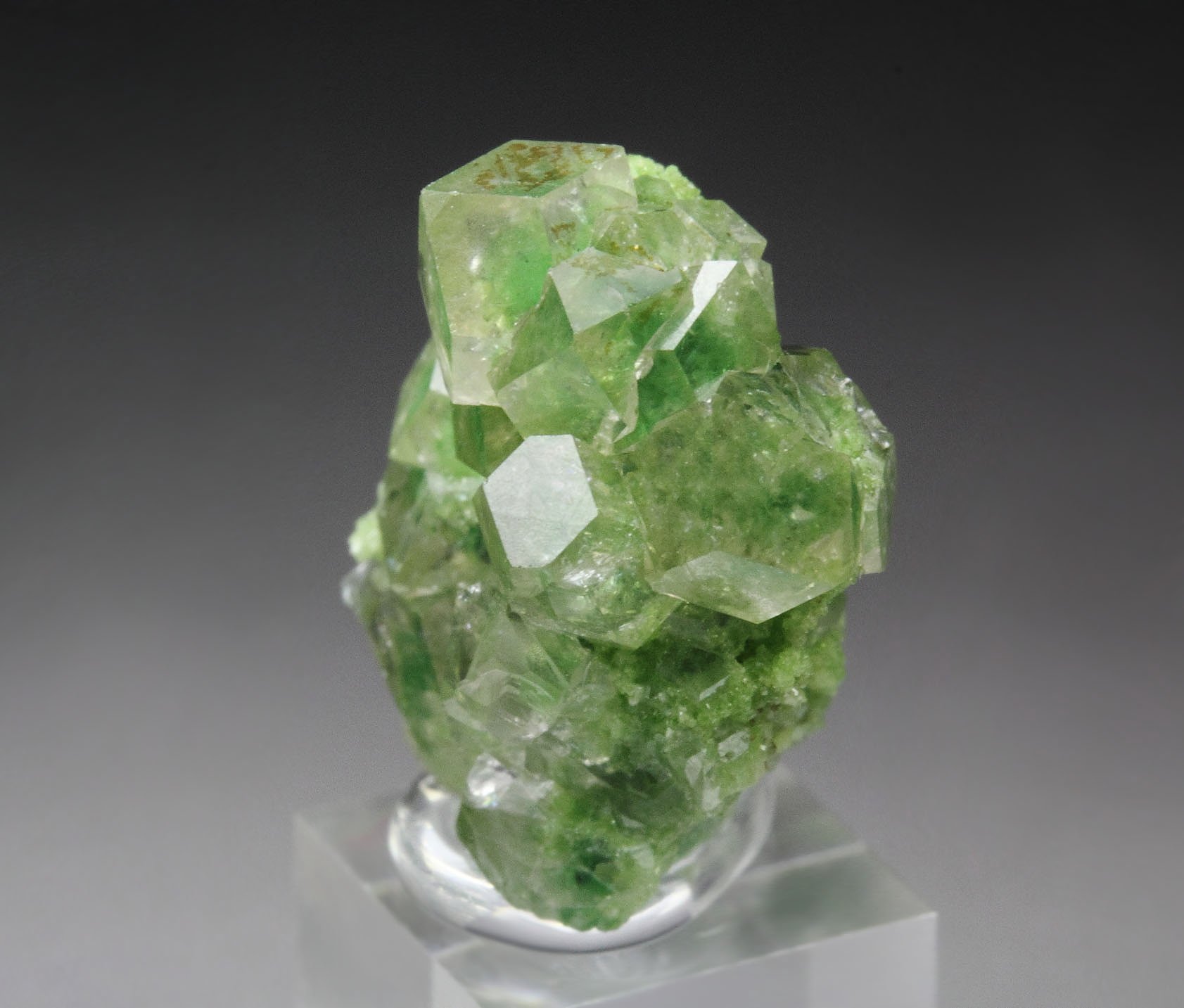 gem GARNET var. GROSSULAR with GREEN CHROMIAN PHANTOMS, DIOPSIDE