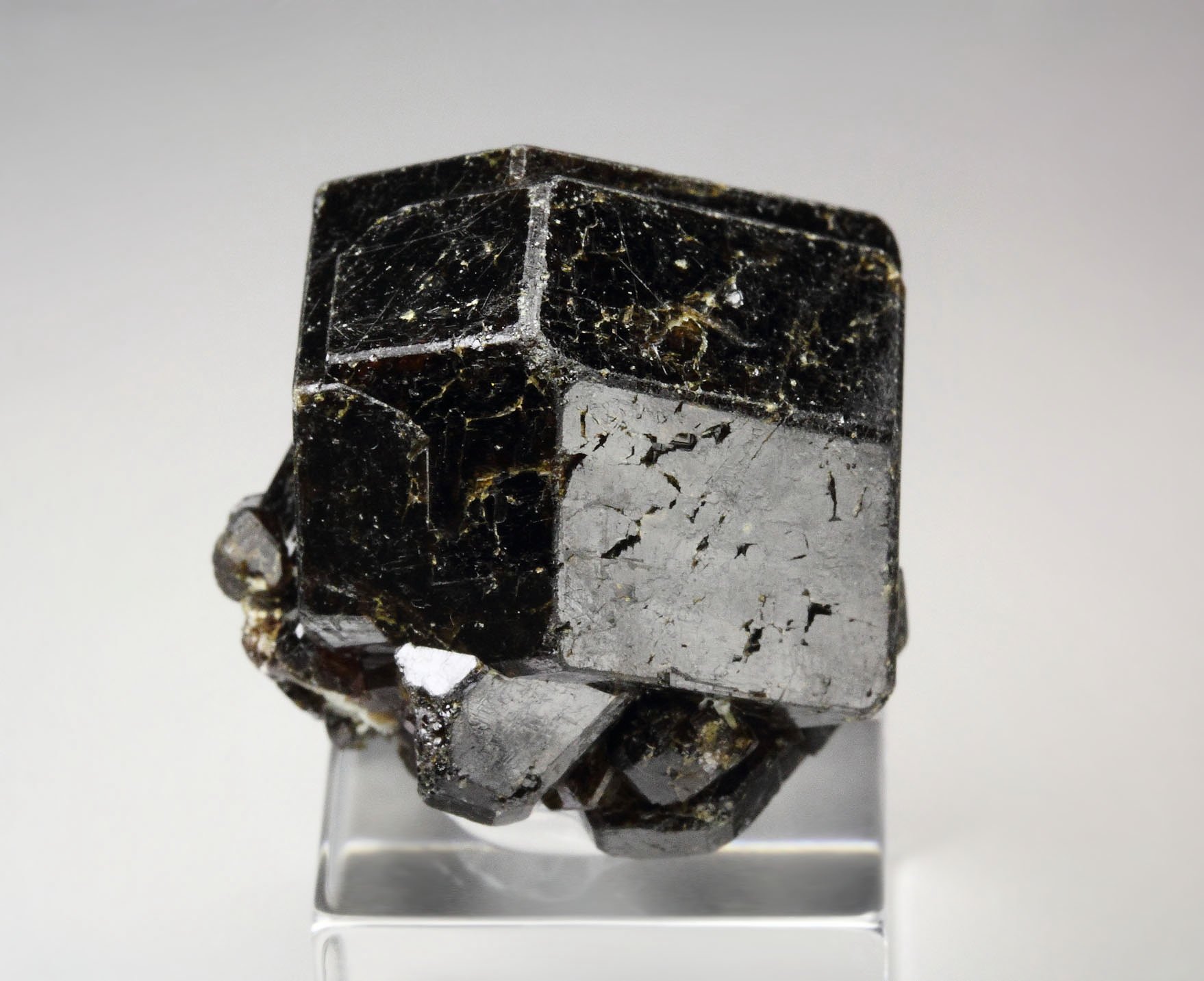 GARNET var. ANDRADITE var. MELANITE