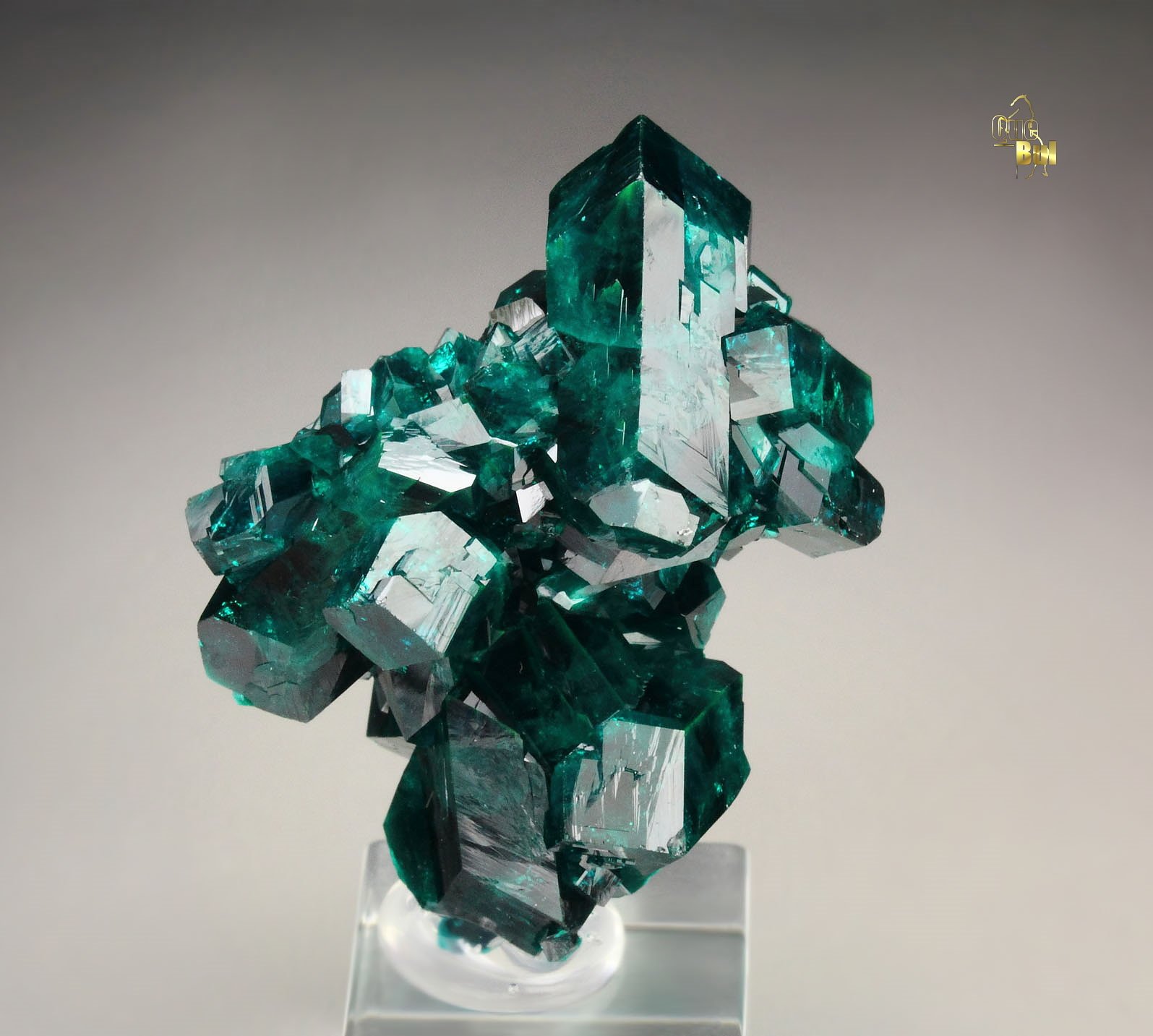 gemmy DIOPTASE bi-terminated