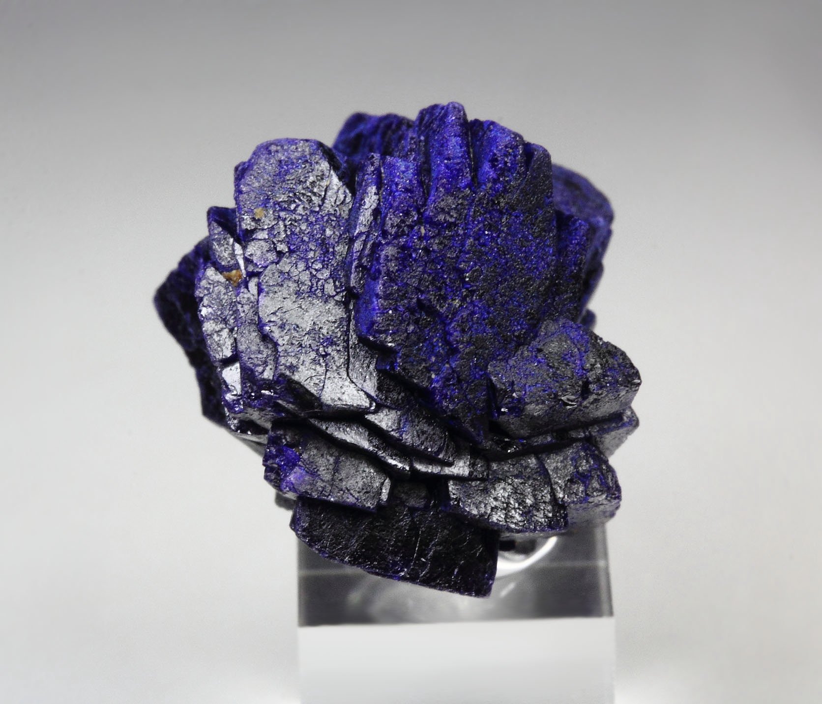 AZURITE floater