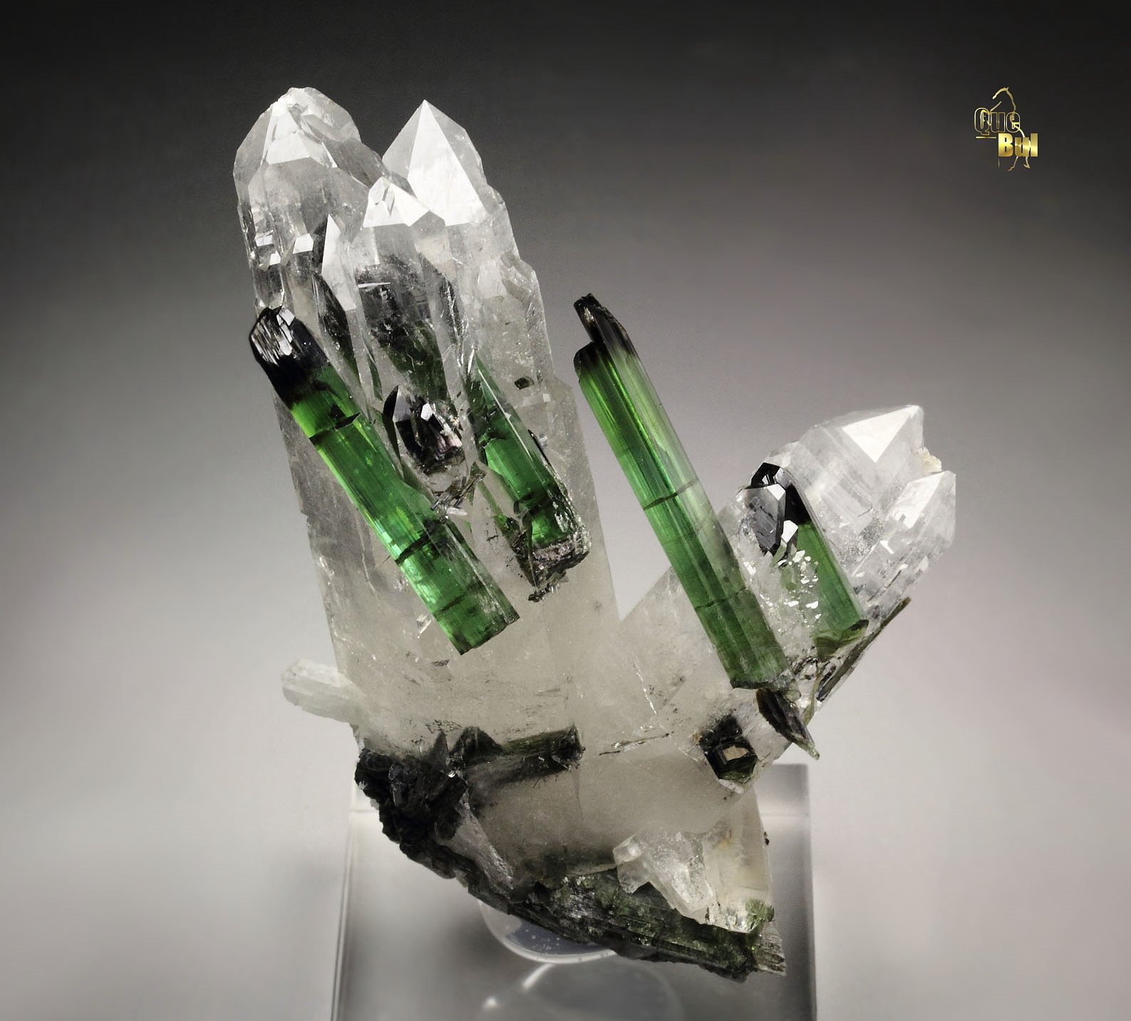 gem TOURMALINE var. ELBAITE, QUARTZ