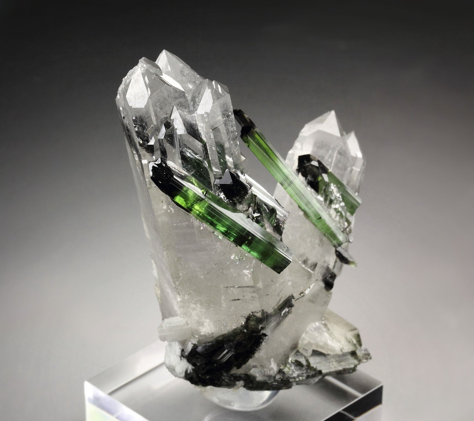 gem TOURMALINE var. ELBAITE, QUARTZ