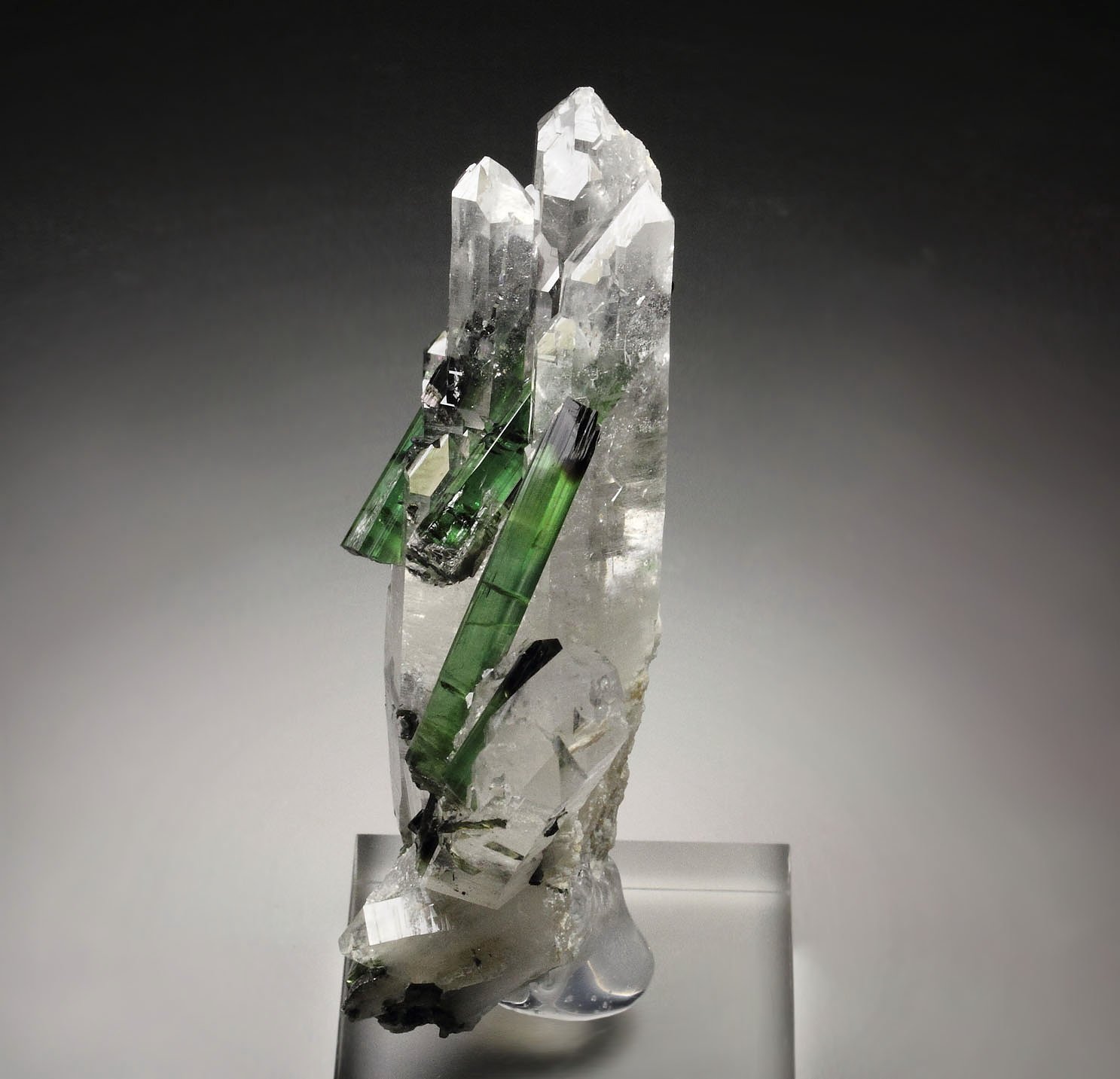 gem TOURMALINE var. ELBAITE, QUARTZ