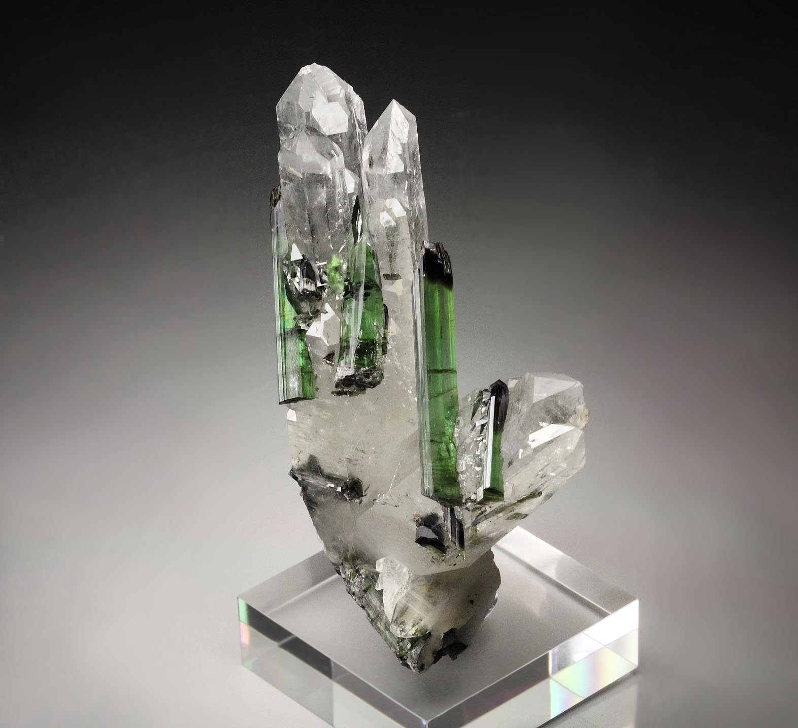 gem TOURMALINE var. ELBAITE, QUARTZ