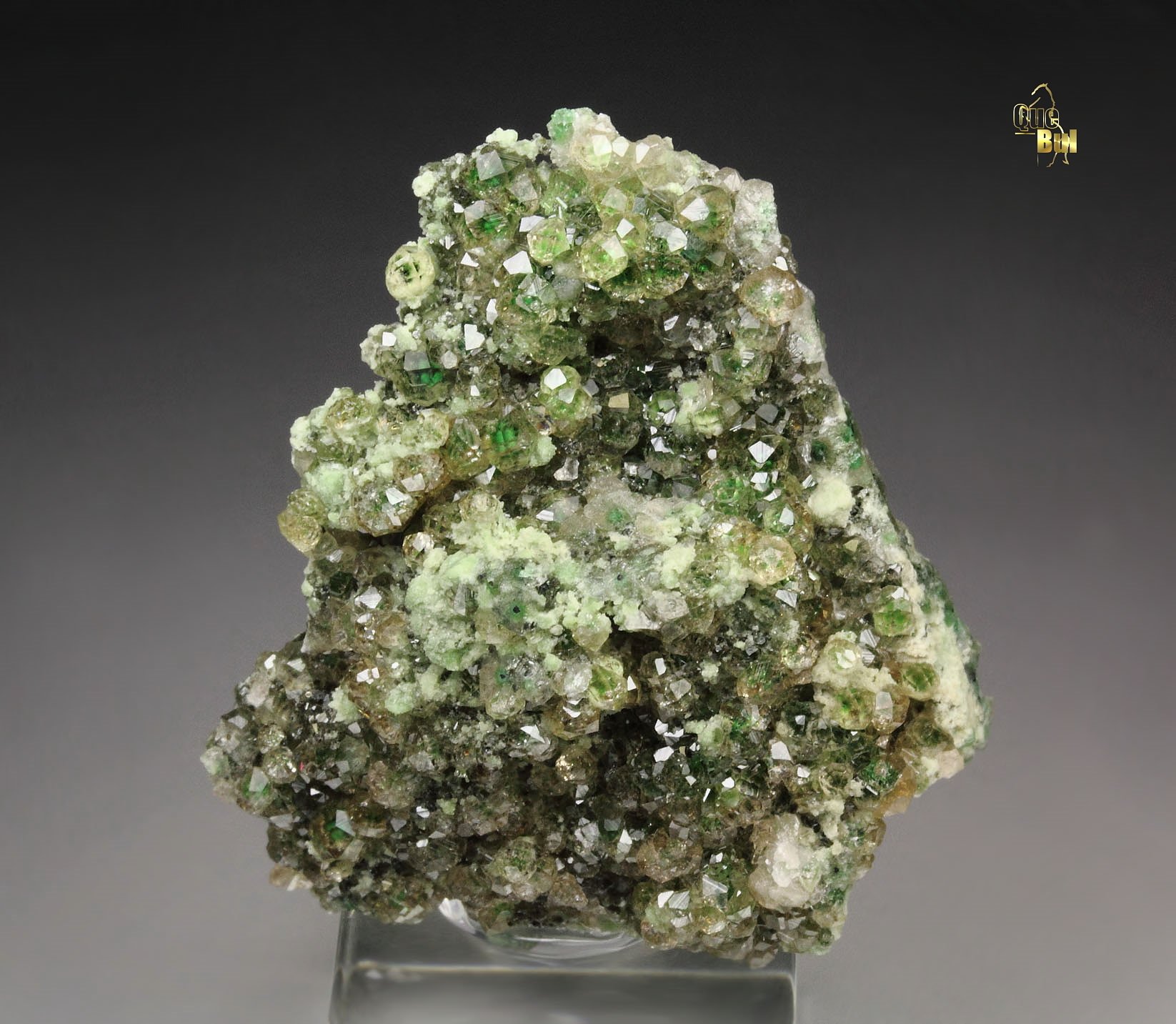 gem GARNET var. GROSSULAR with GREEN CHROMIAN PHANTOMS, CHROMITE