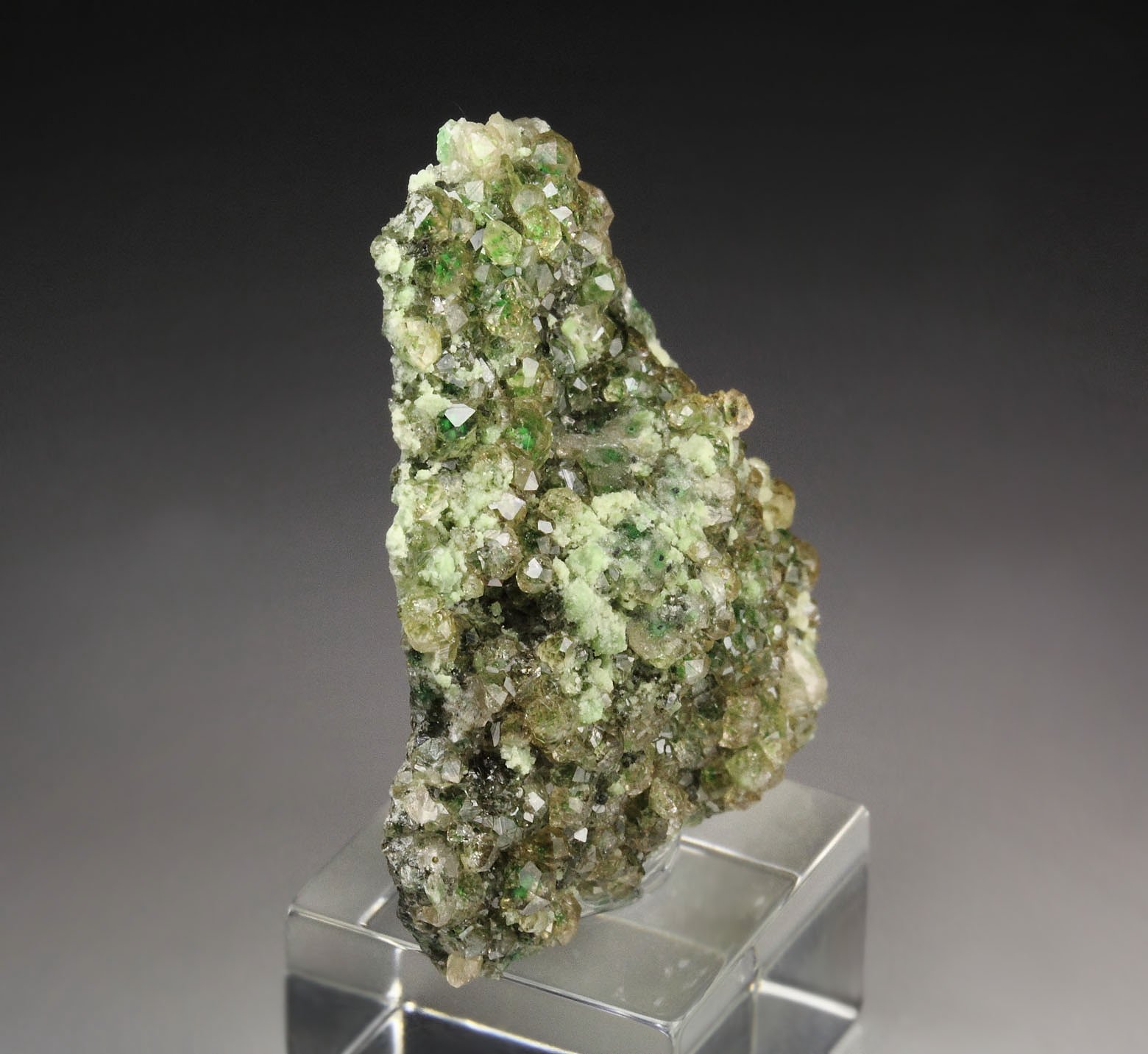 gem GARNET var. GROSSULAR with GREEN CHROMIAN PHANTOMS, CHROMITE