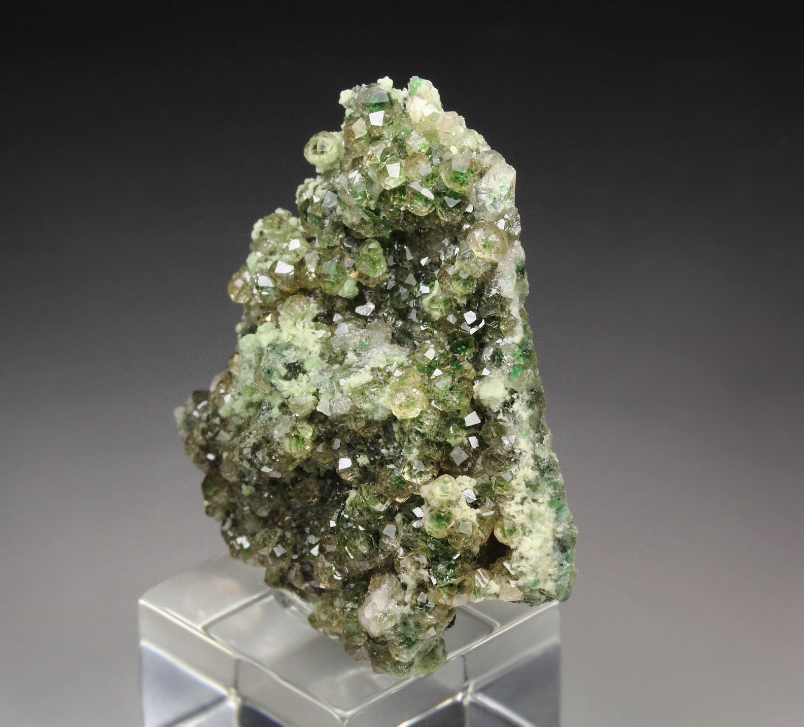 gem GARNET var. GROSSULAR with GREEN CHROMIAN PHANTOMS, CHROMITE