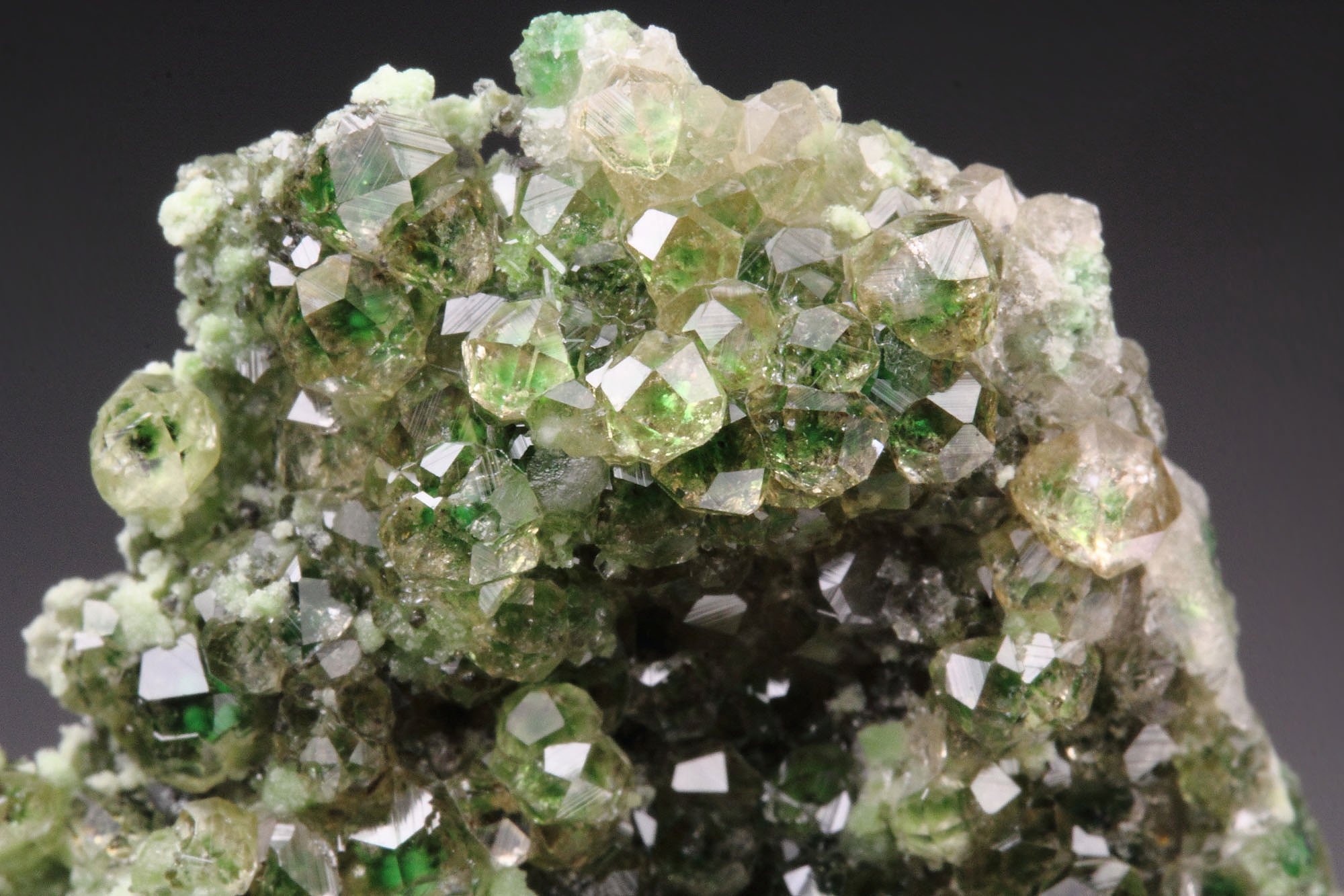 gem GARNET var. GROSSULAR with GREEN CHROMIAN PHANTOMS, CHROMITE