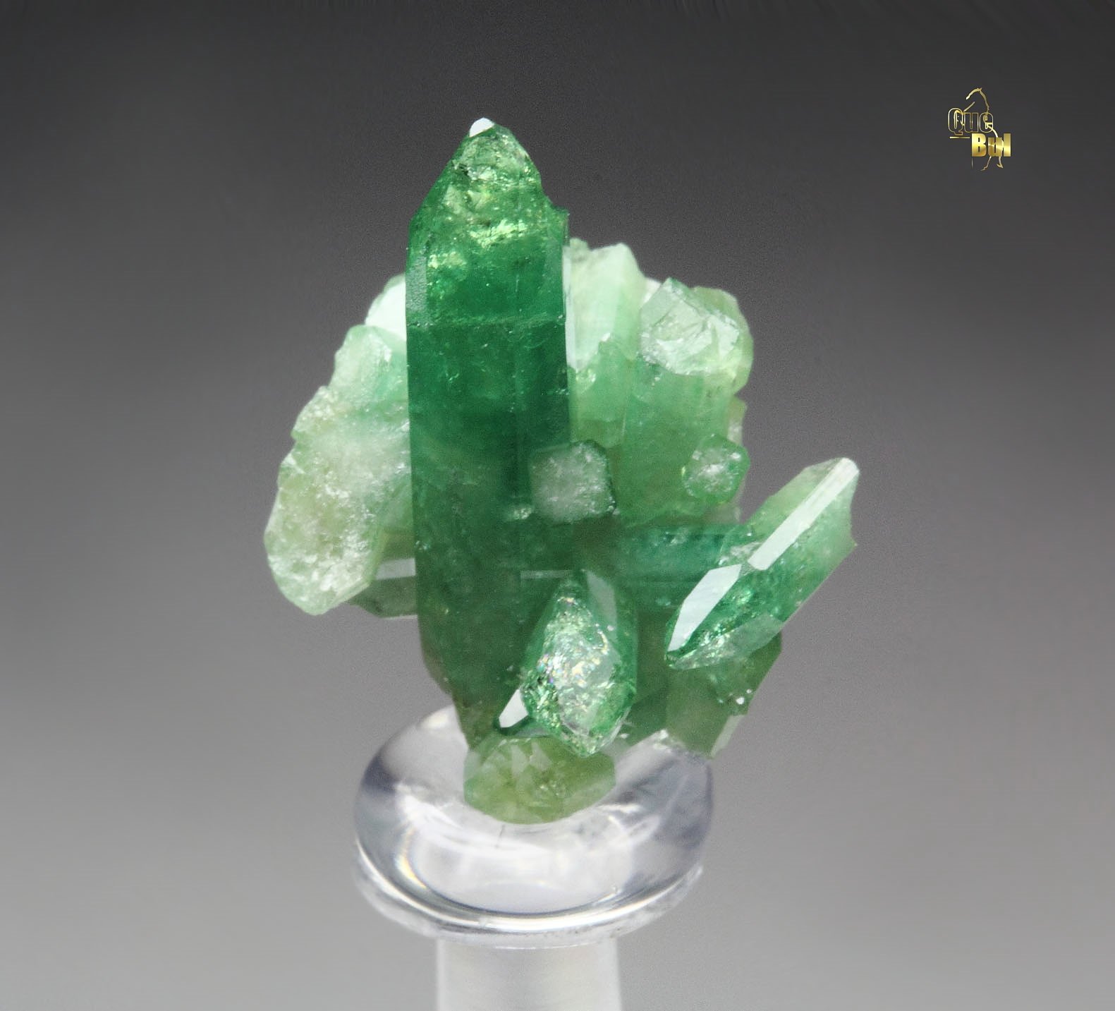 gem VESUVIANITE var. CHROMIAN