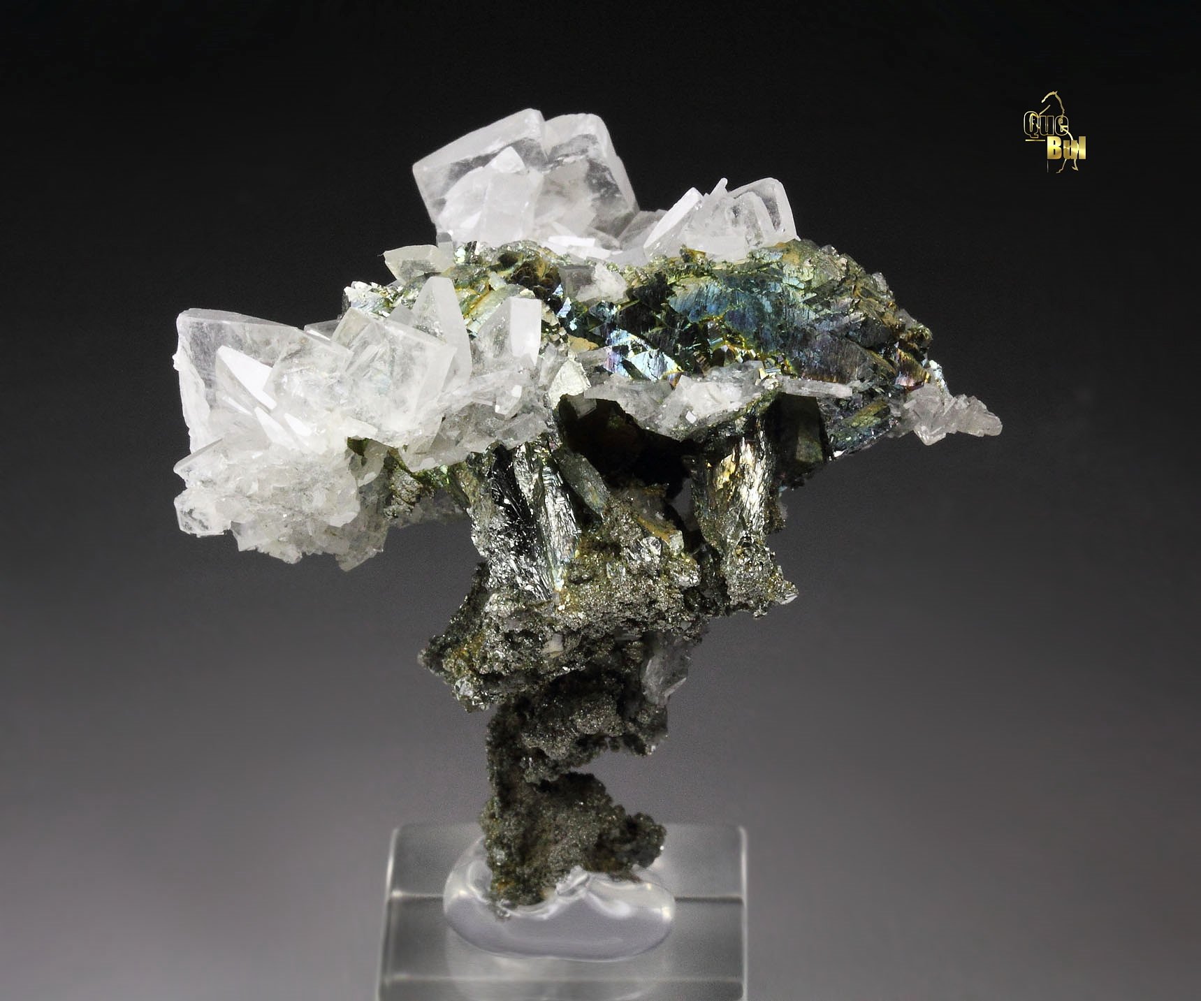 MARCASITE, BARYTE, CHALCOPYRITE