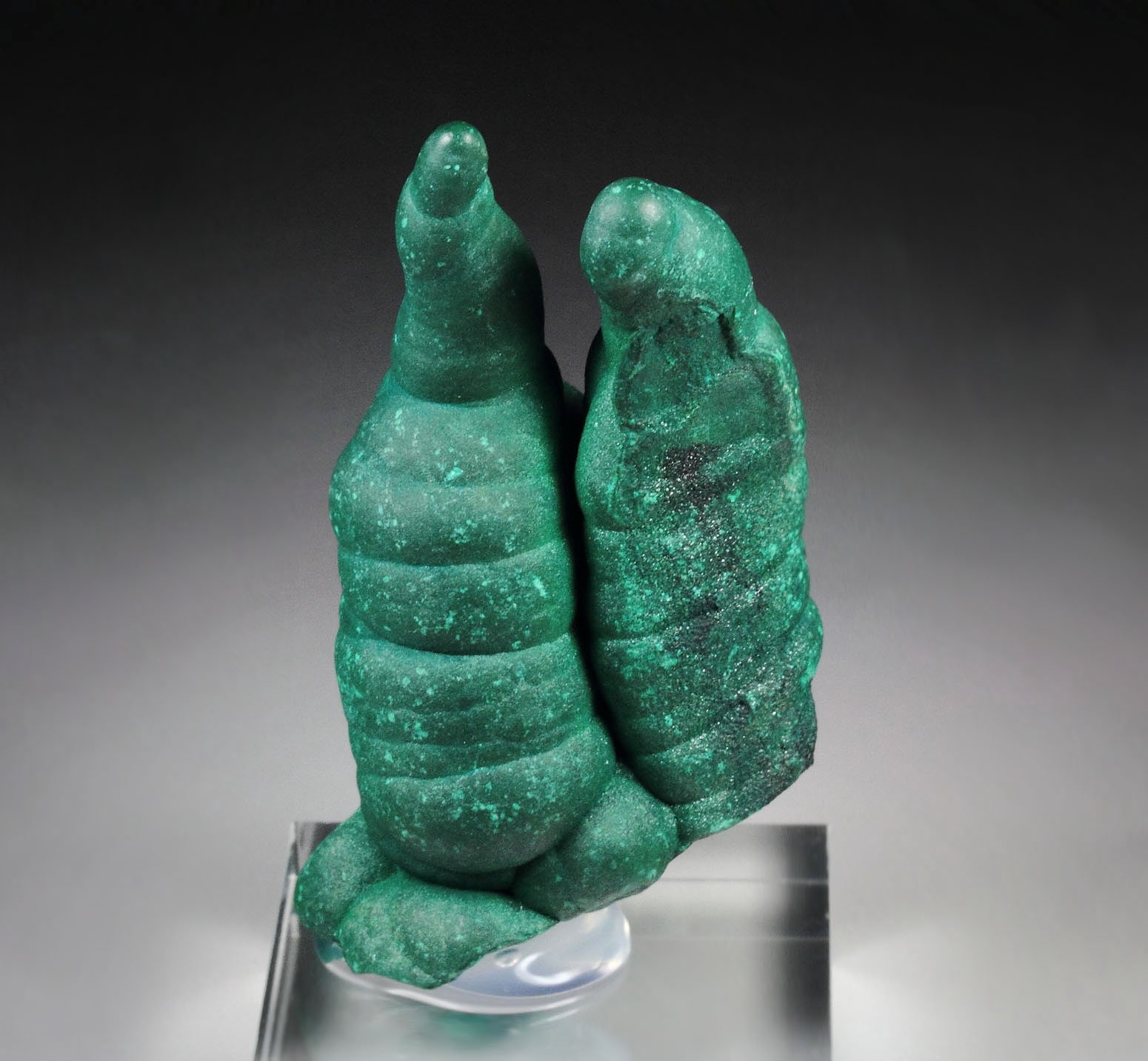 MALACHITE stalactite