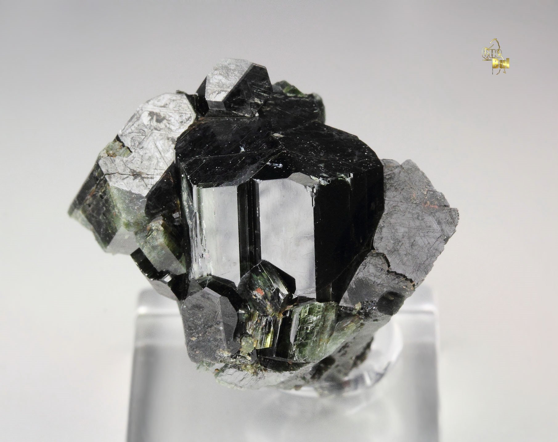 ACTINOLITE