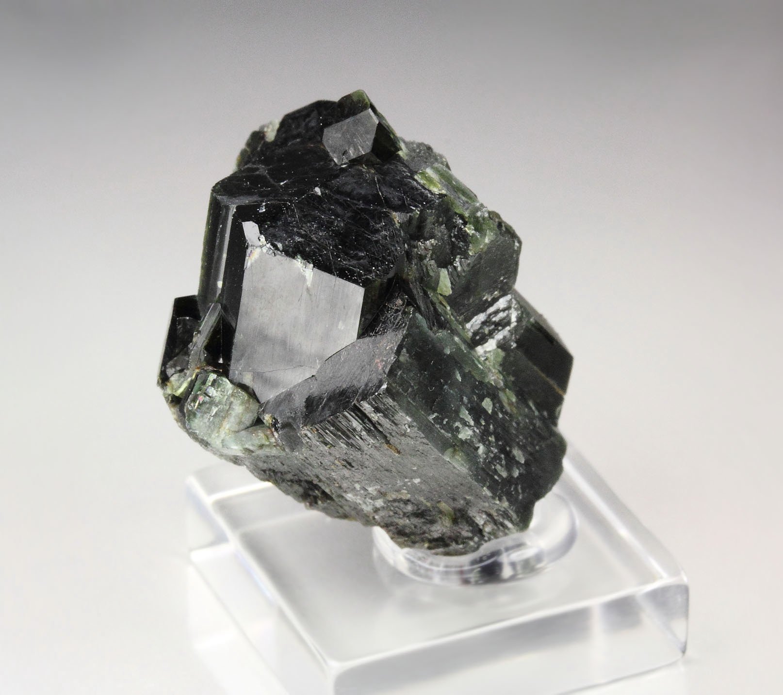 ACTINOLITE