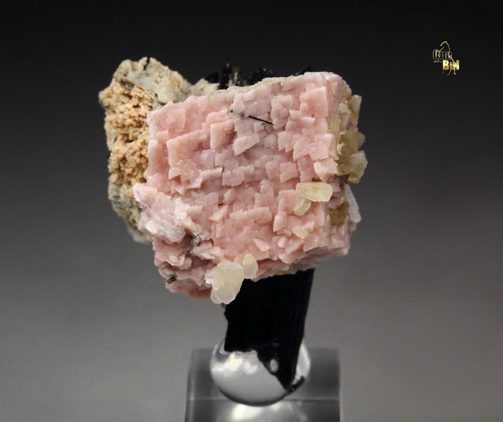 RHODOCHROSITE, AEGIRINE, NATROLITE, ALBITE