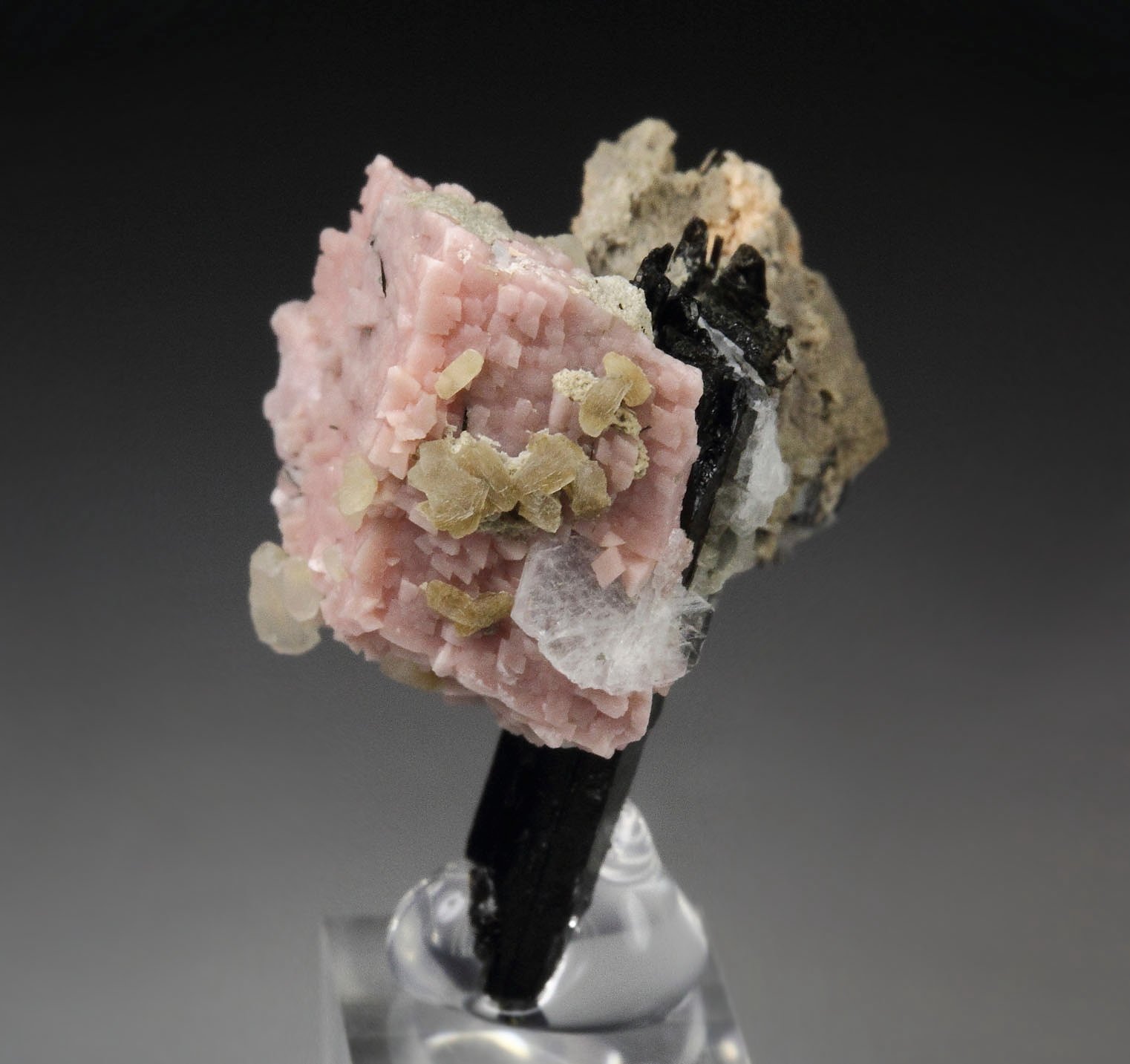 RHODOCHROSITE, AEGIRINE, NATROLITE, ALBITE