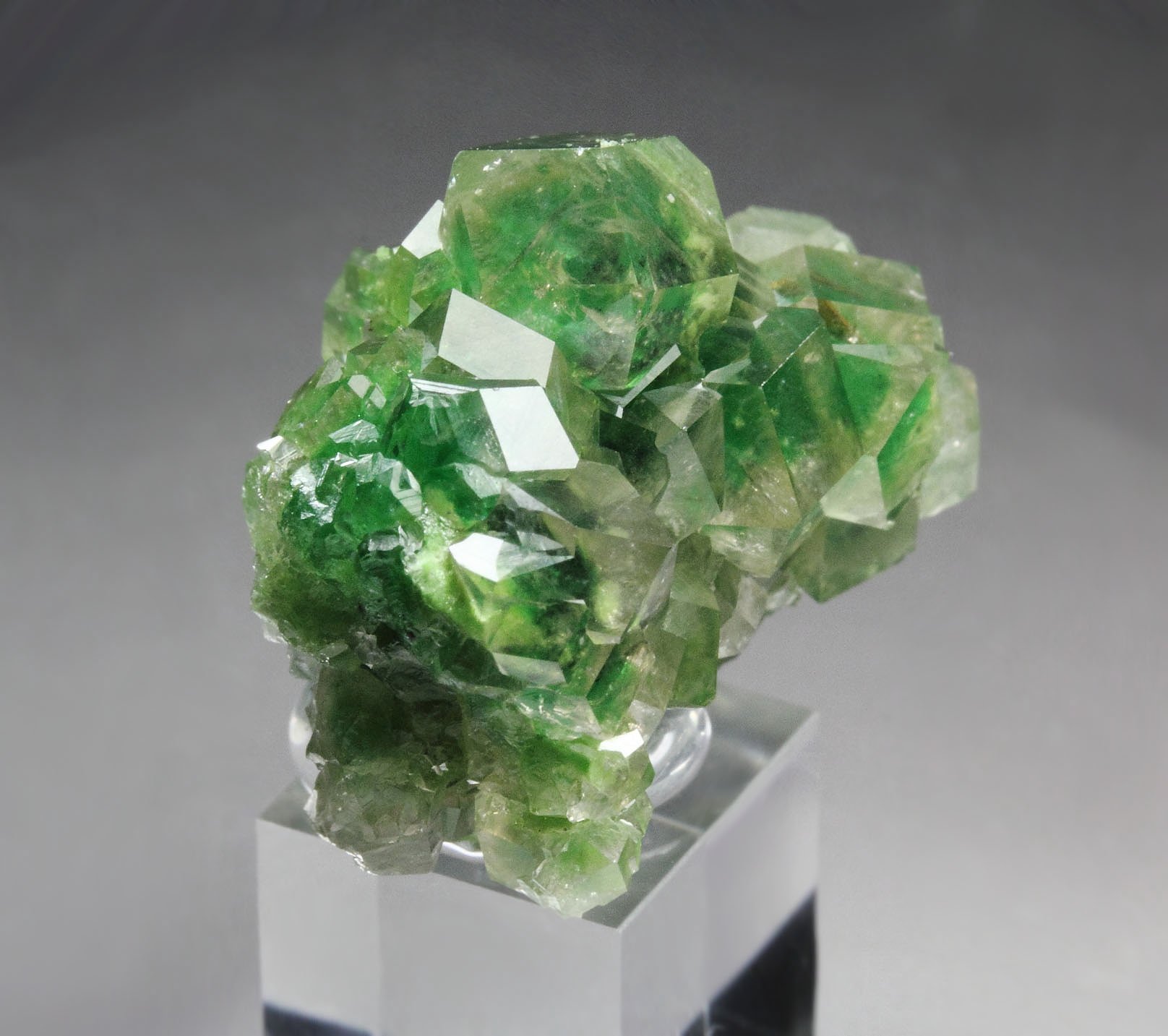 gem GARNET var. GROSSULAR with GREEN CHROMIAN PHANTOMS, DIOPSIDE