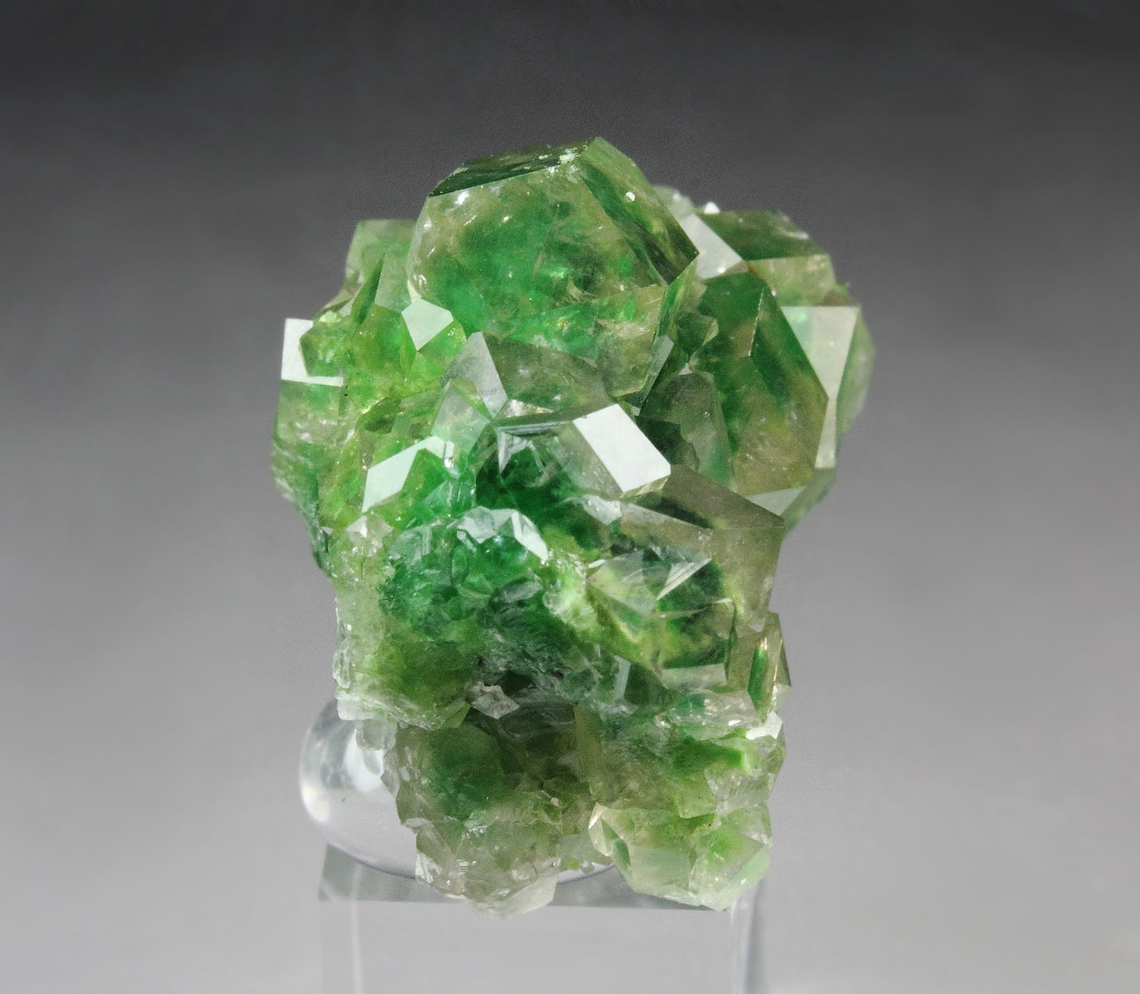 gem GARNET var. GROSSULAR with GREEN CHROMIAN PHANTOMS, DIOPSIDE