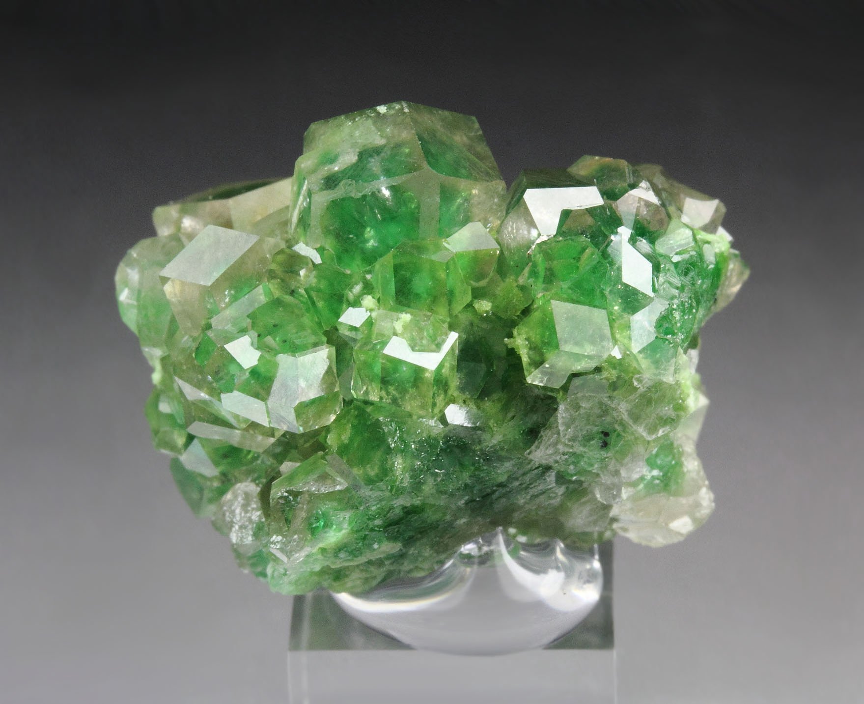 gem GARNET var. GROSSULAR with GREEN CHROMIAN PHANTOMS, DIOPSIDE