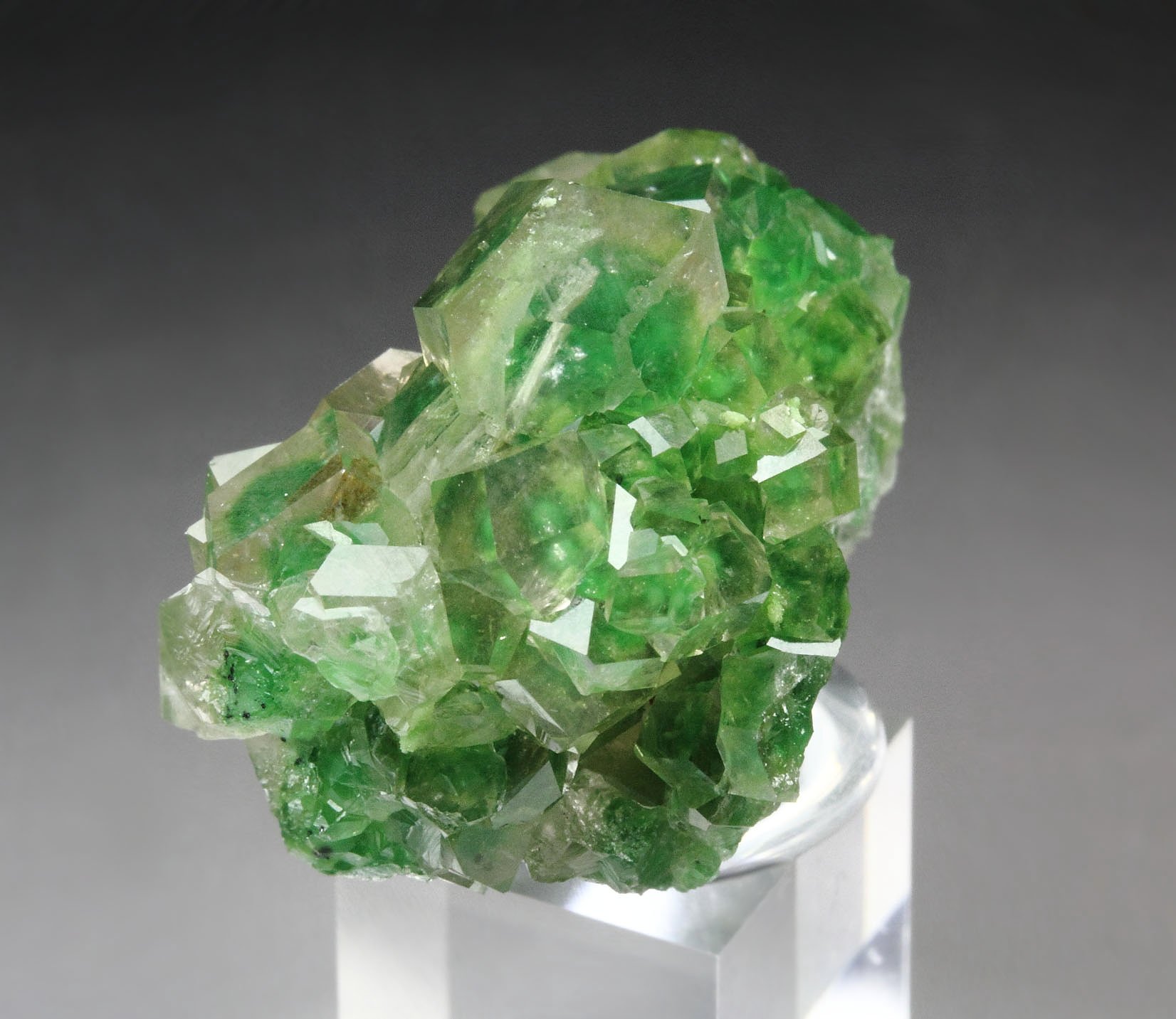 gem GARNET var. GROSSULAR with GREEN CHROMIAN PHANTOMS, DIOPSIDE