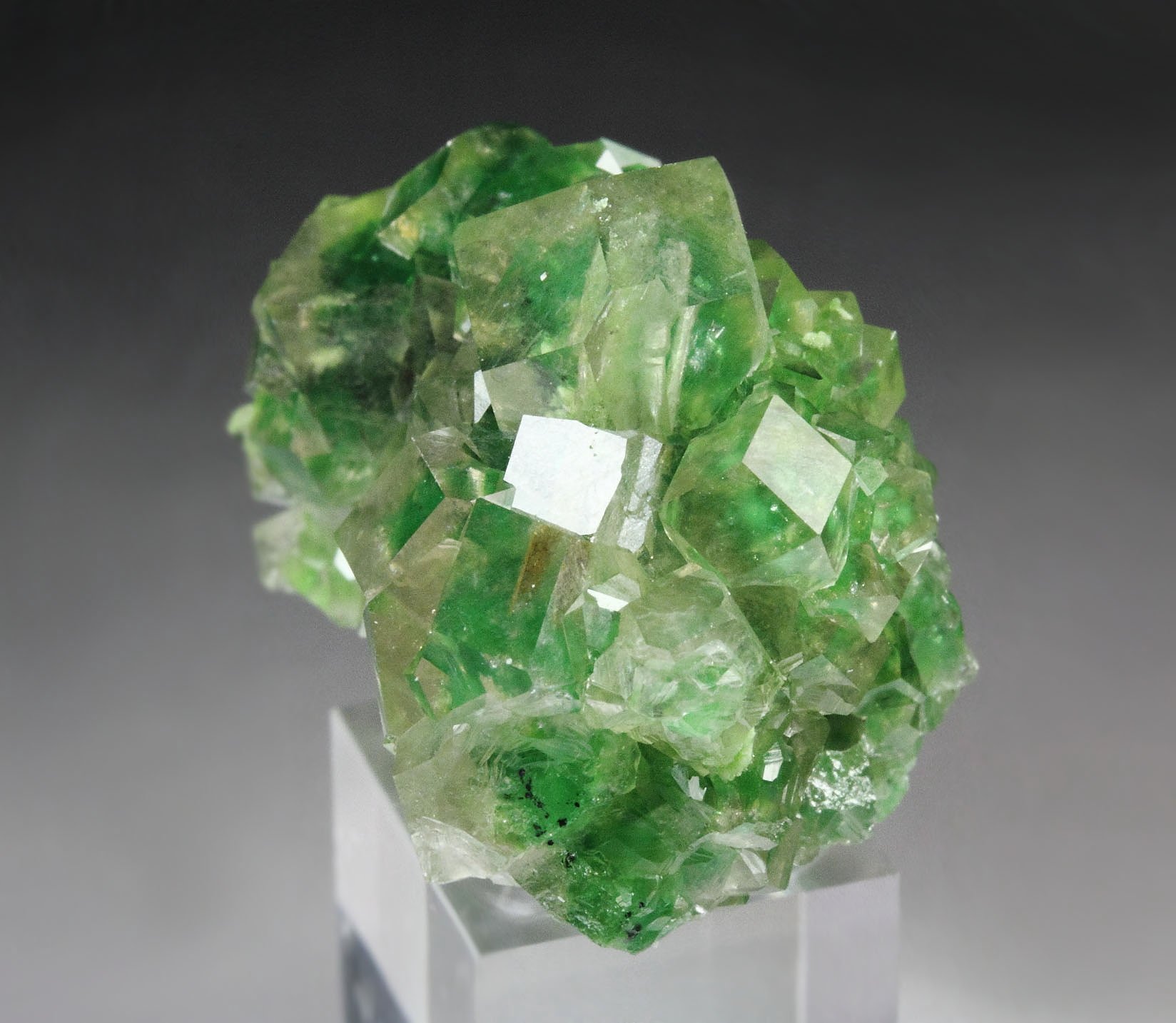 gem GARNET var. GROSSULAR with GREEN CHROMIAN PHANTOMS, DIOPSIDE