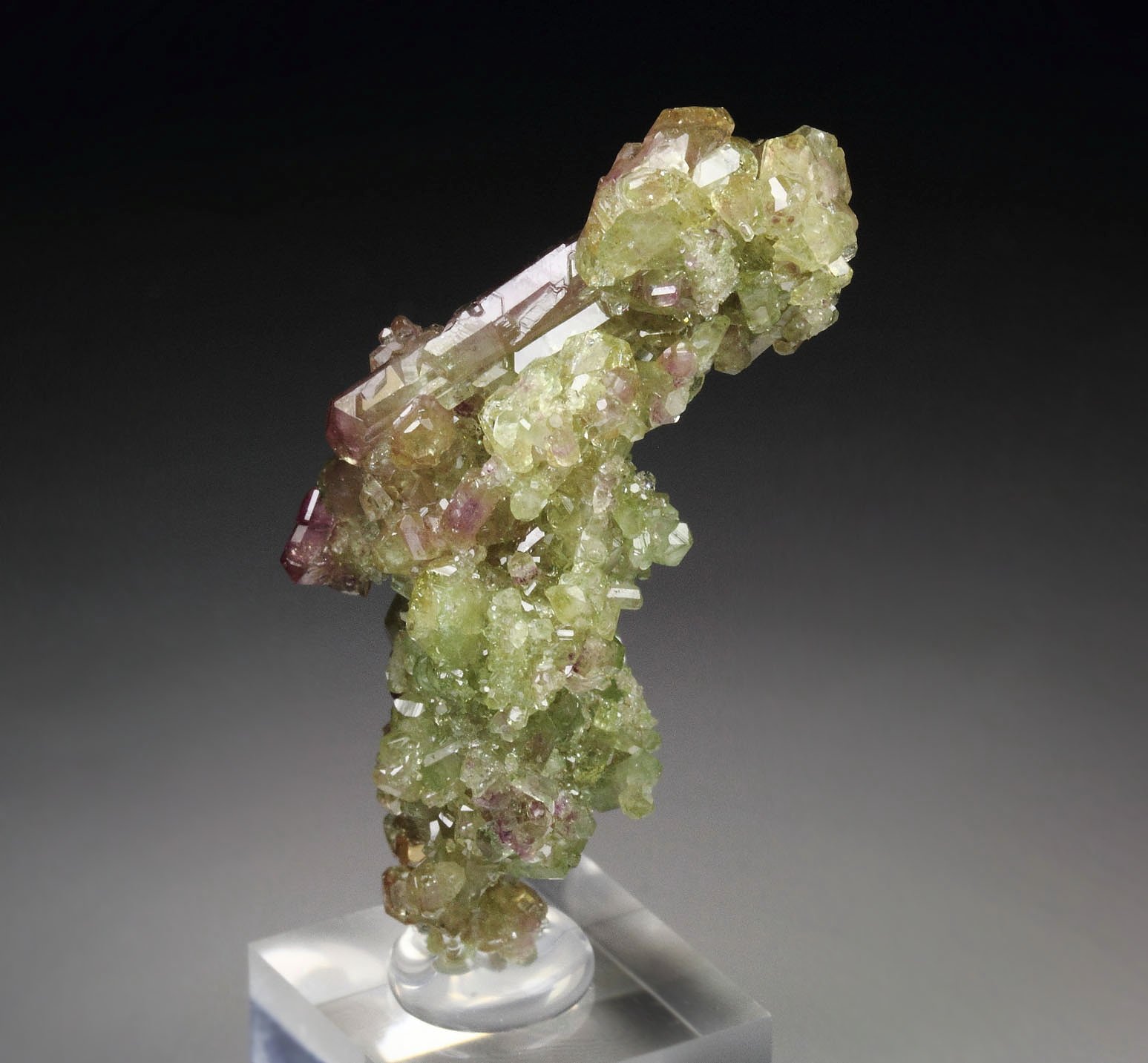 gem bi-terminated VESUVIANITE bi-color