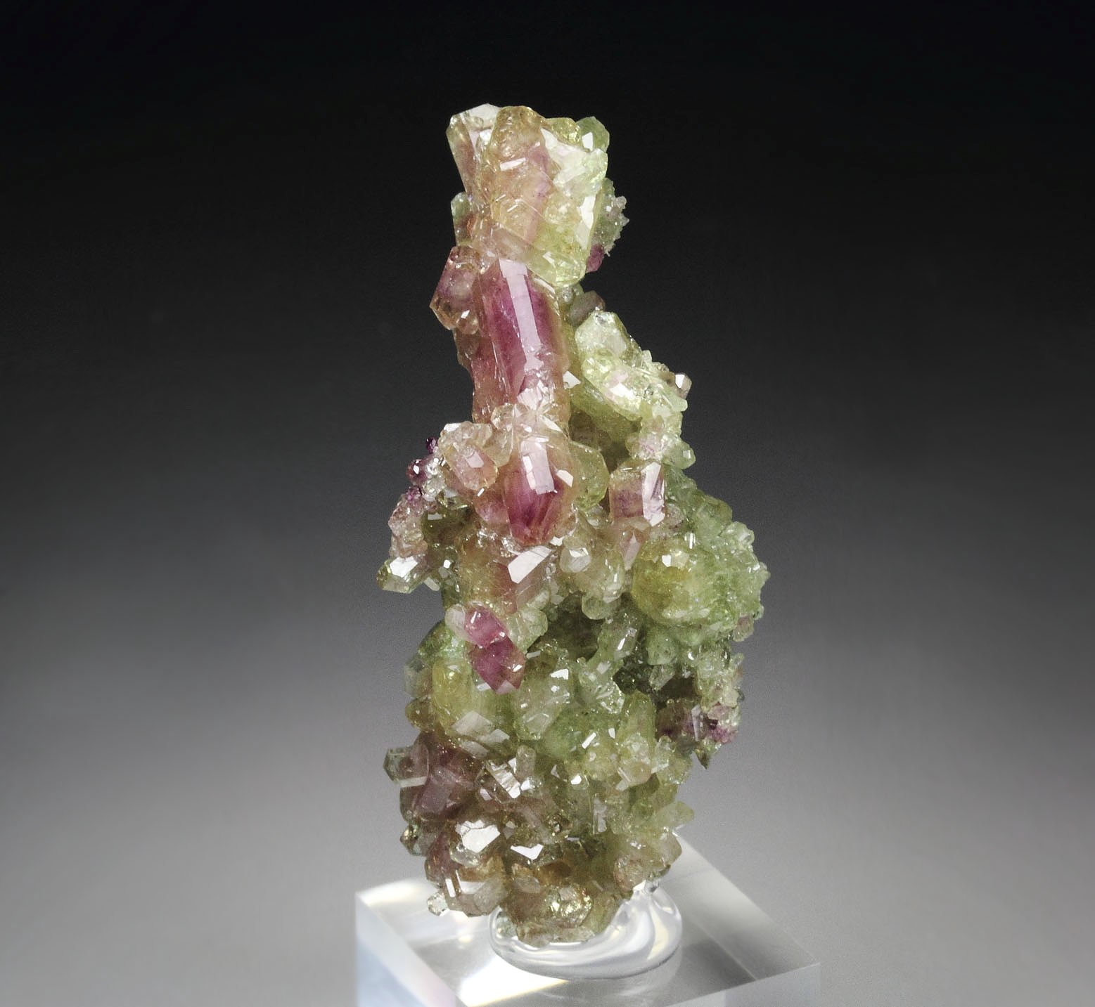 gem bi-terminated VESUVIANITE bi-color