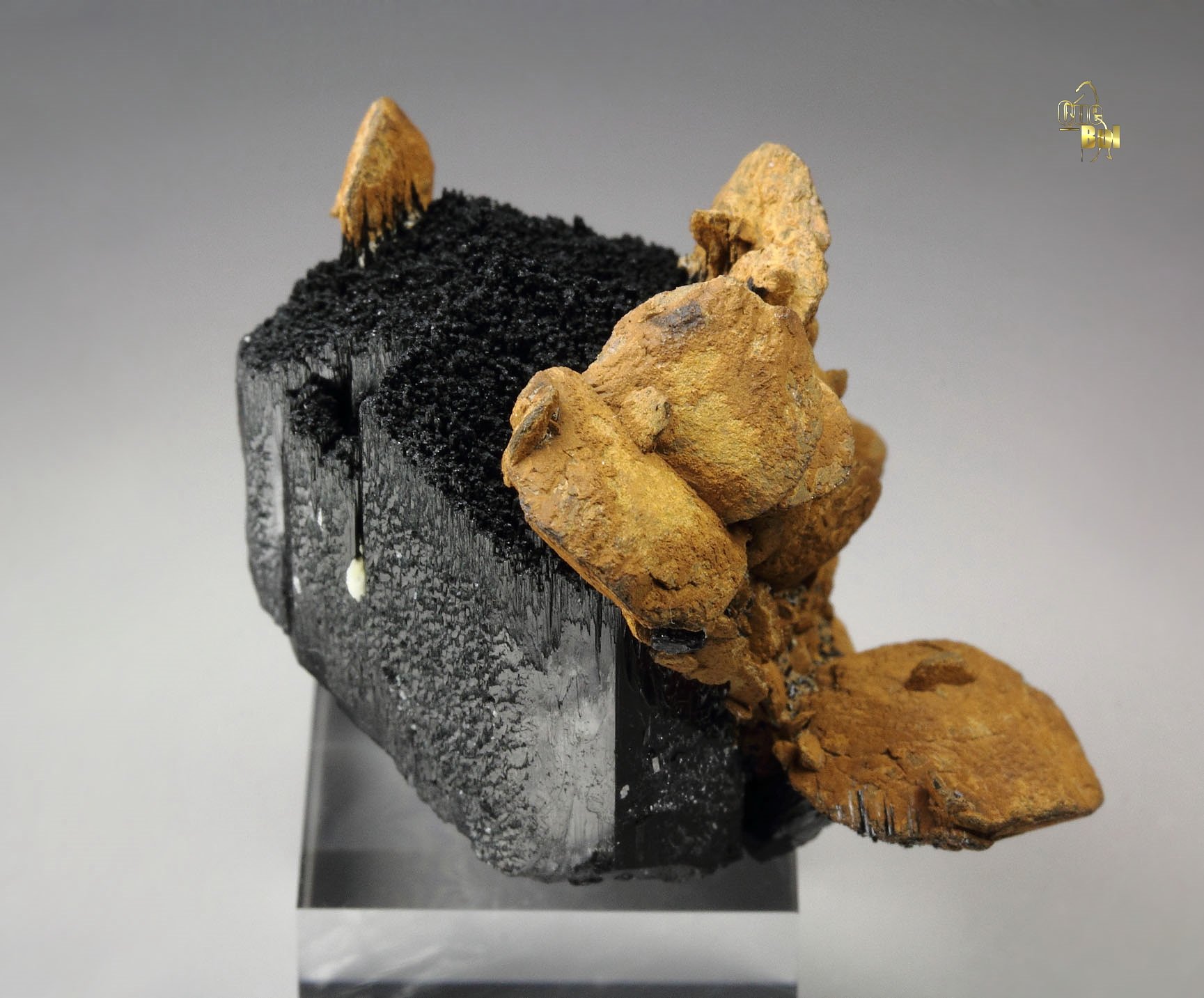 GOETHITE pseudomorph after SIDERITE, TOURMALINE var. SCHORL