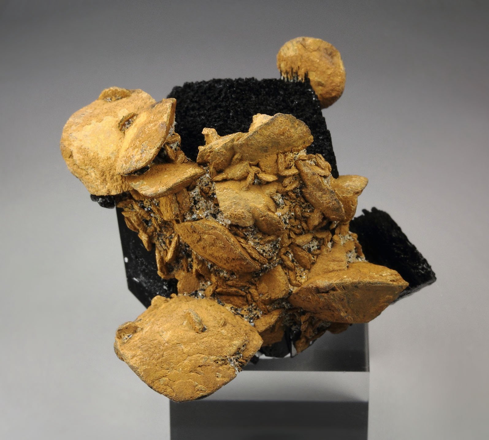 GOETHITE pseudomorph after SIDERITE, TOURMALINE var. SCHORL