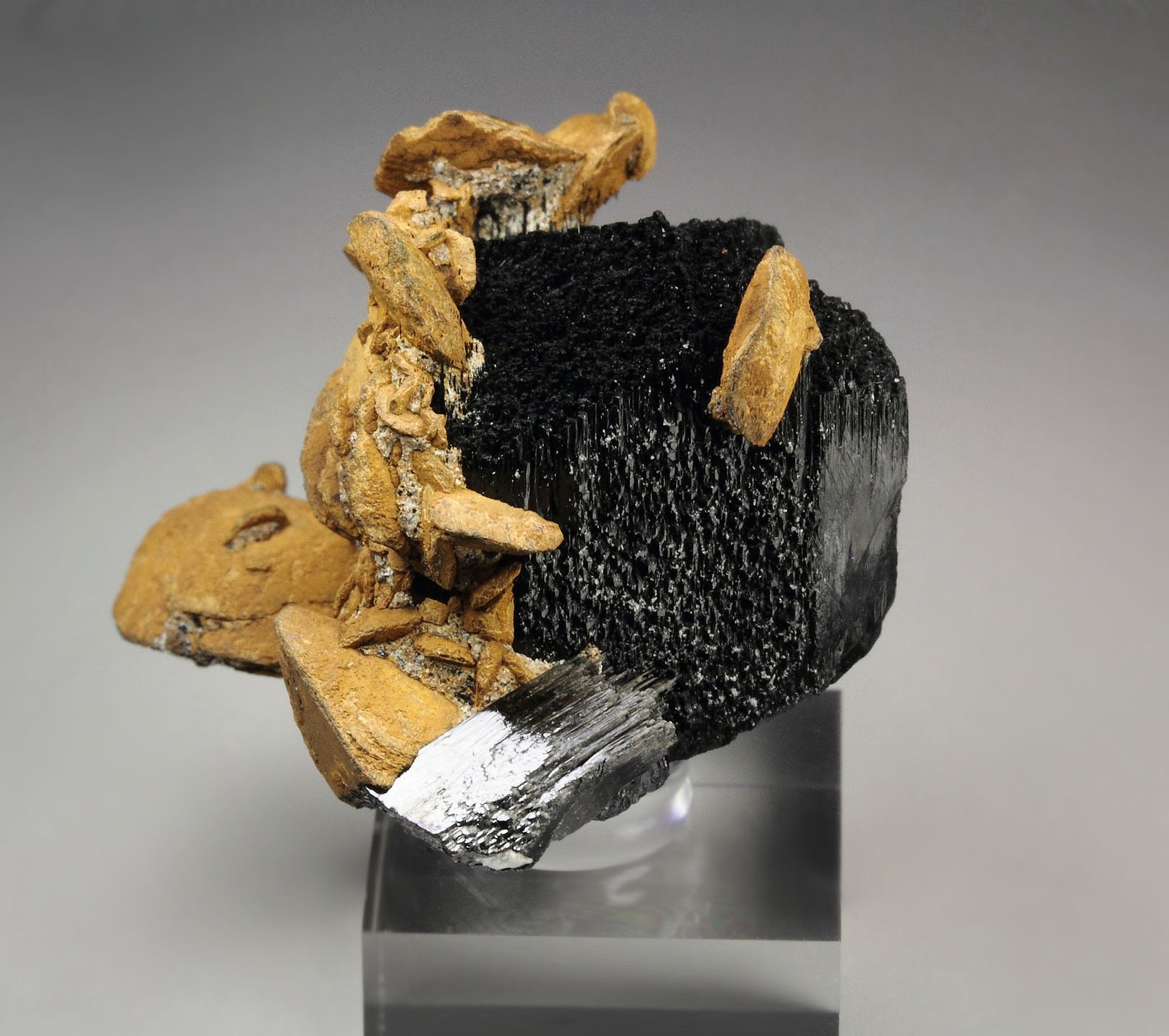 GOETHITE pseudomorph after SIDERITE, TOURMALINE var. SCHORL