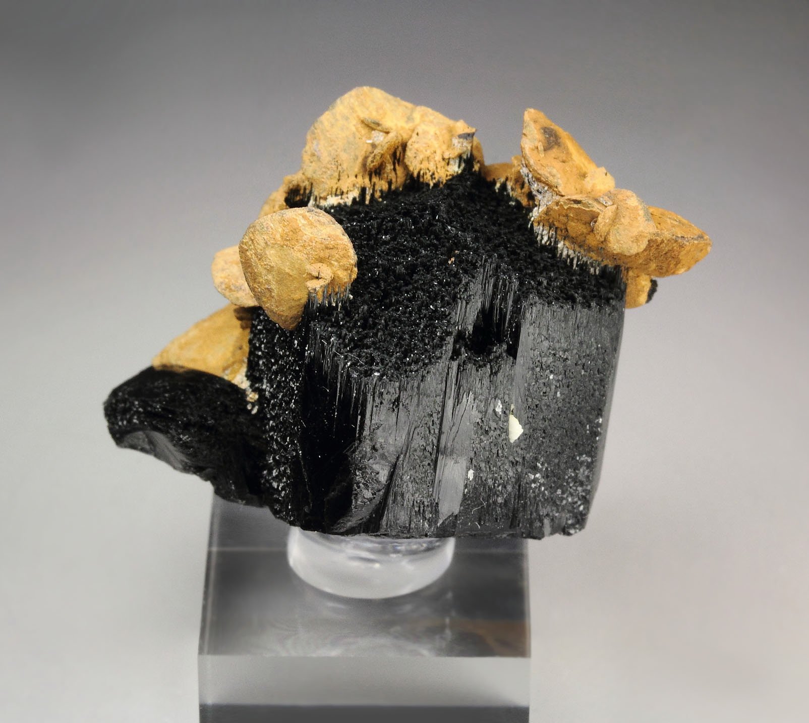 GOETHITE pseudomorph after SIDERITE, TOURMALINE var. SCHORL