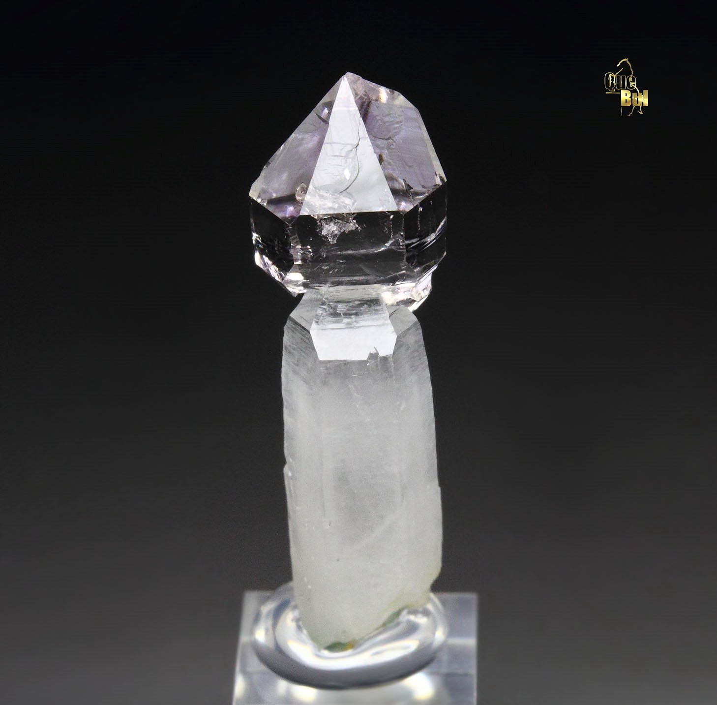 scepter QUARTZ