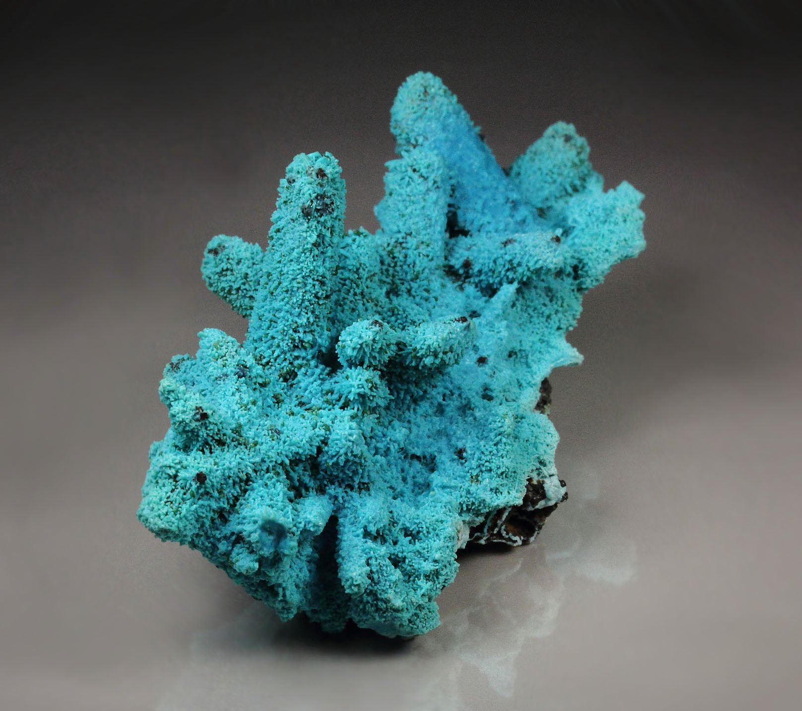 CHRYSOCOLLA pseudomorph after AZURITE