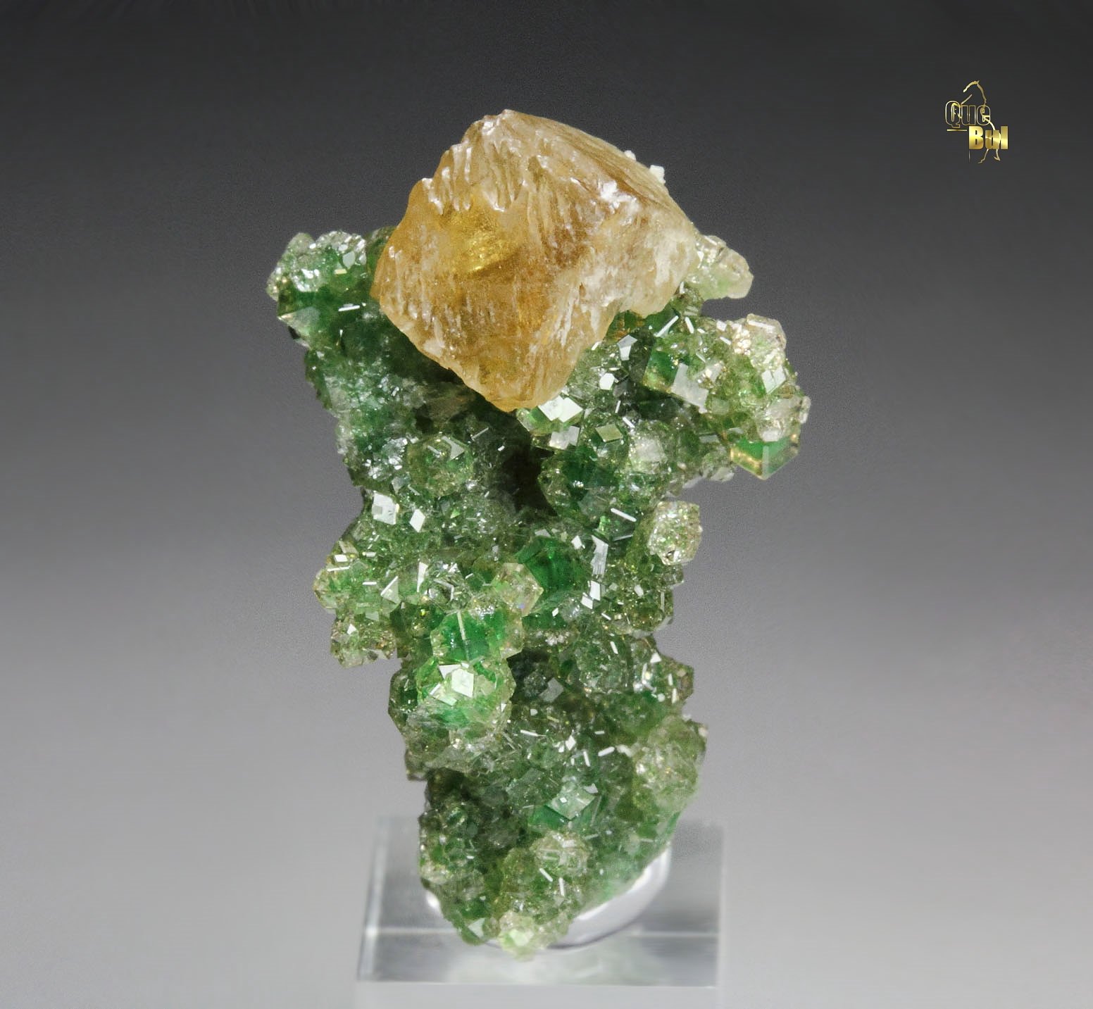 gem GARNET var. GROSSULAR with GREEN CHROMIAN PHANTOMS, PREHNITE