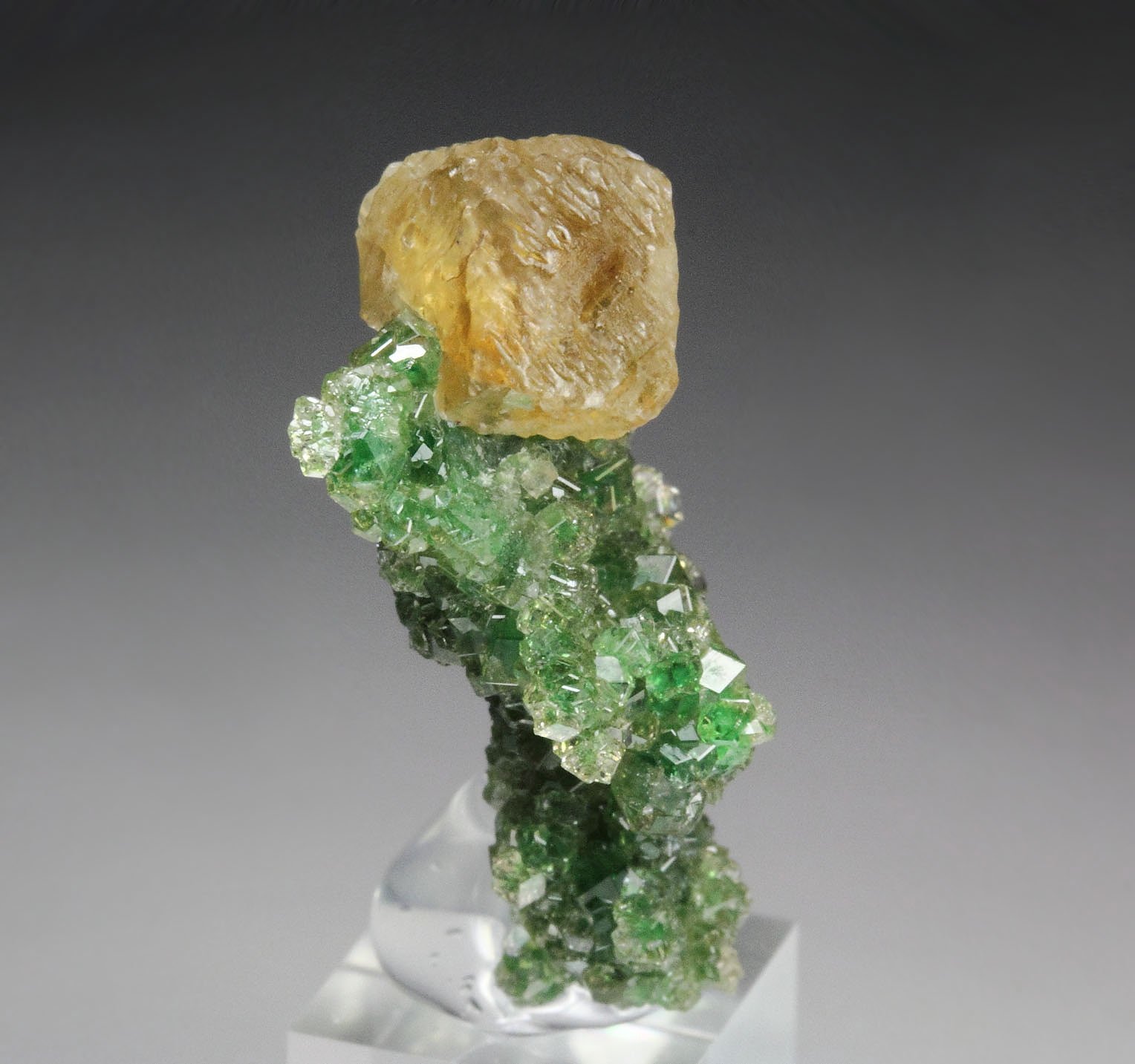 gem GARNET var. GROSSULAR with GREEN CHROMIAN PHANTOMS, PREHNITE