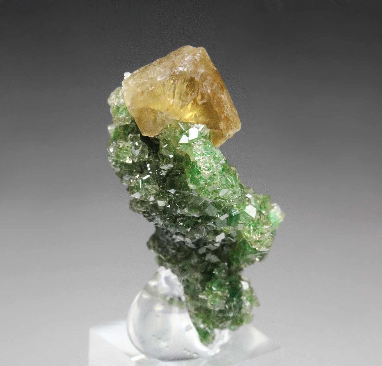 gem GARNET var. GROSSULAR with GREEN CHROMIAN PHANTOMS, PREHNITE