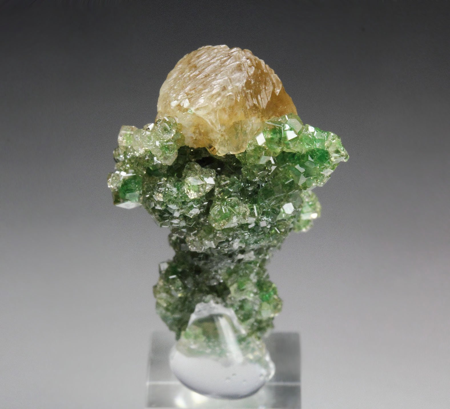 gem GARNET var. GROSSULAR with GREEN CHROMIAN PHANTOMS, PREHNITE