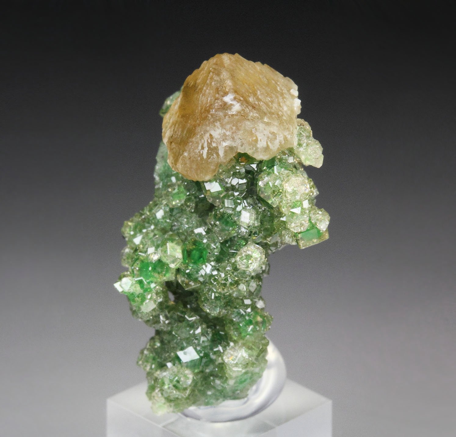 gem GARNET var. GROSSULAR with GREEN CHROMIAN PHANTOMS, PREHNITE