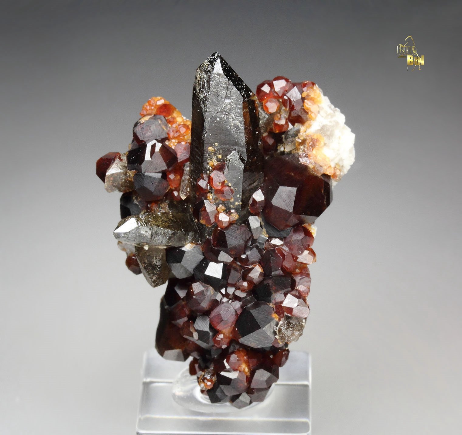 gemmy GARNET var. SPESSARTINE, QUARTZ var. SMOKY