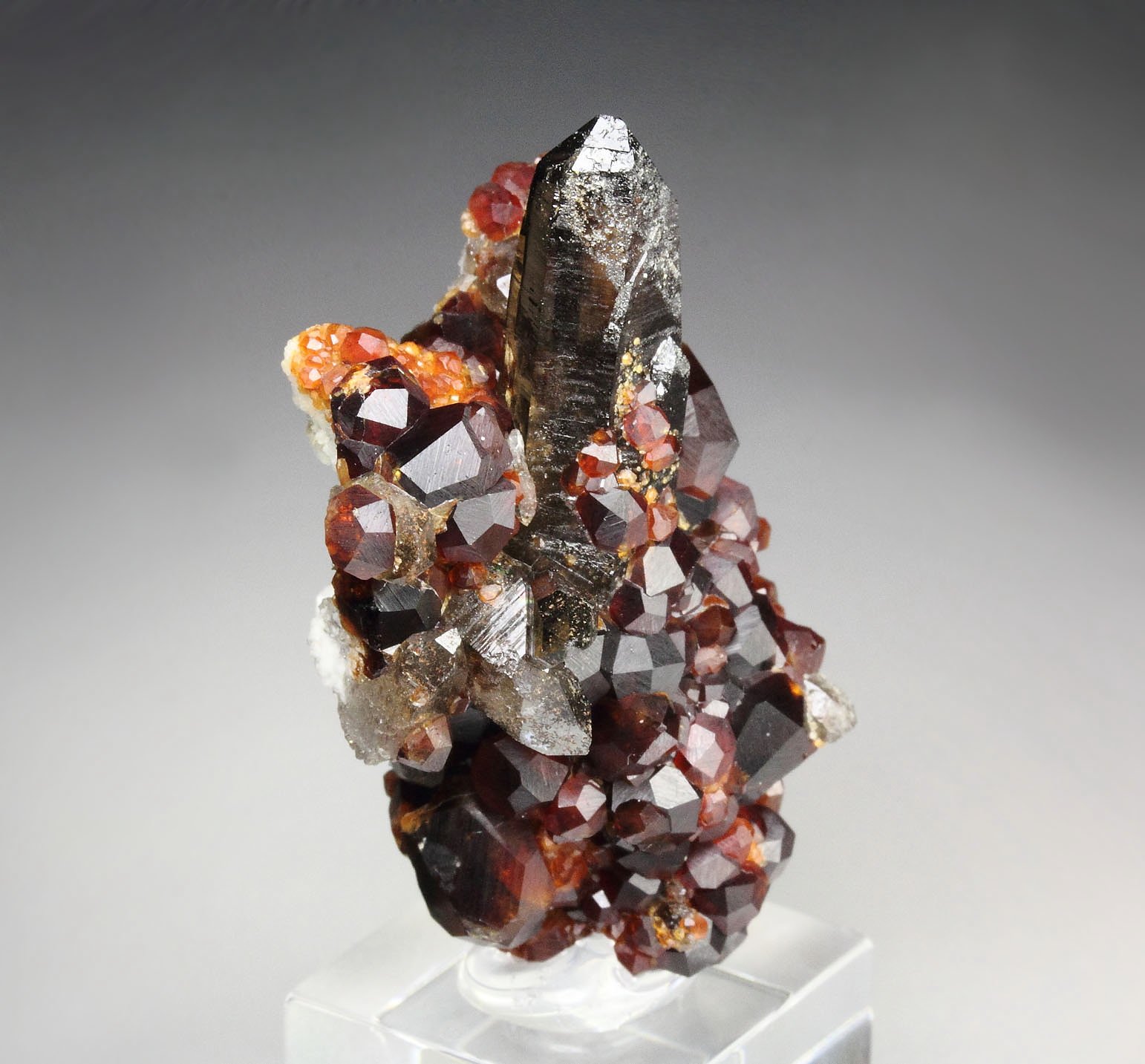 gemmy GARNET var. SPESSARTINE, QUARTZ var. SMOKY