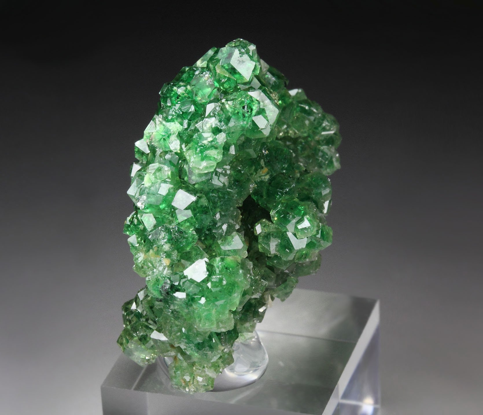 gem GARNET var. GROSSULAR with GREEN CHROMIAN PHANTOMS